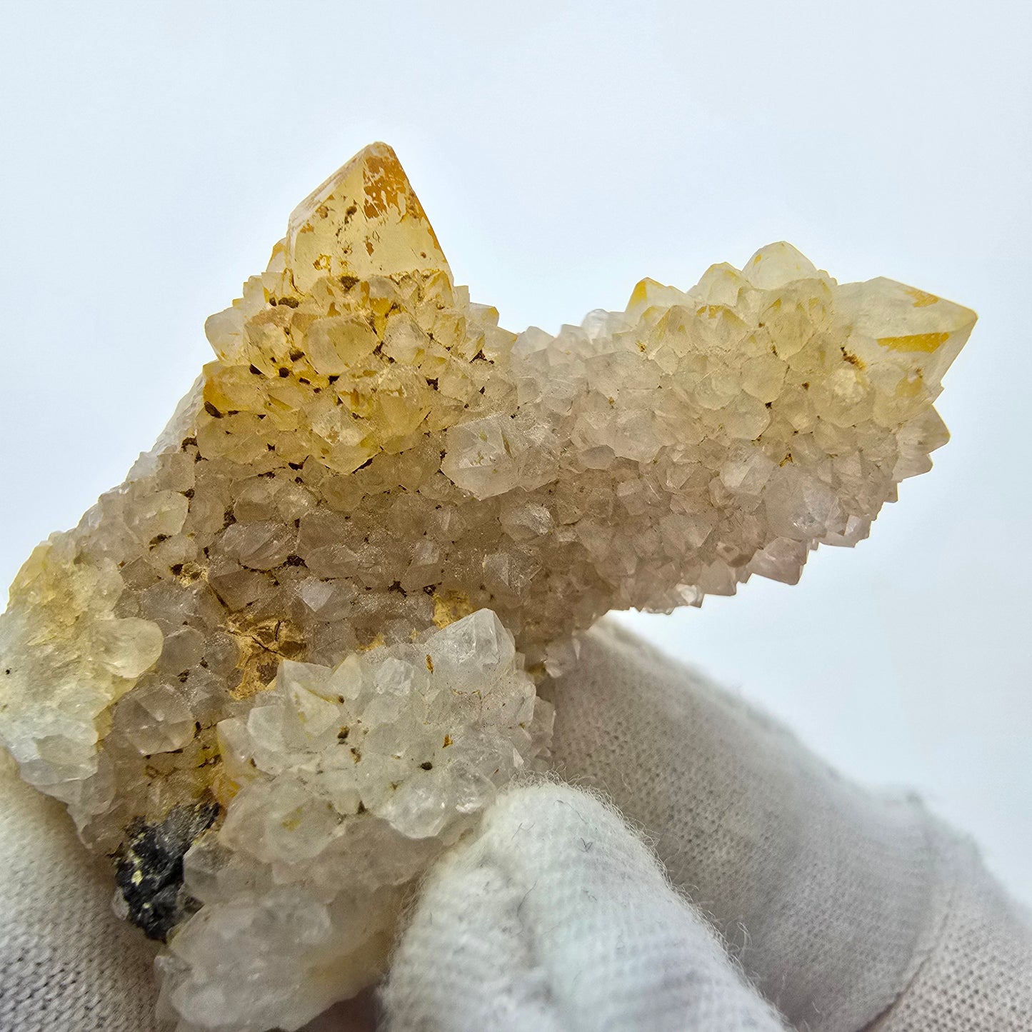 Kaktusquarz, Spirit Quarz XX Stufe Boekenhouthoek, Südafrika 45*30*23mm Sammlung