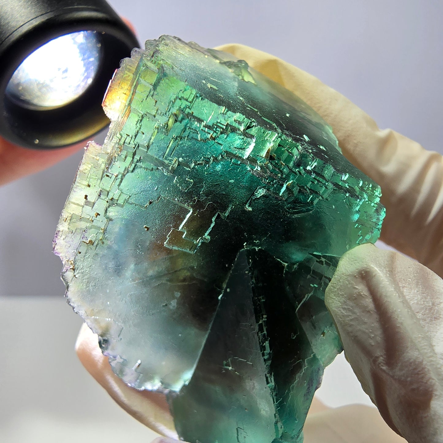 Spécimen de cube de fluorite fantôme transparente, vert parqueté, Okorusu, Namibie, 62 x 34 x 32 mm