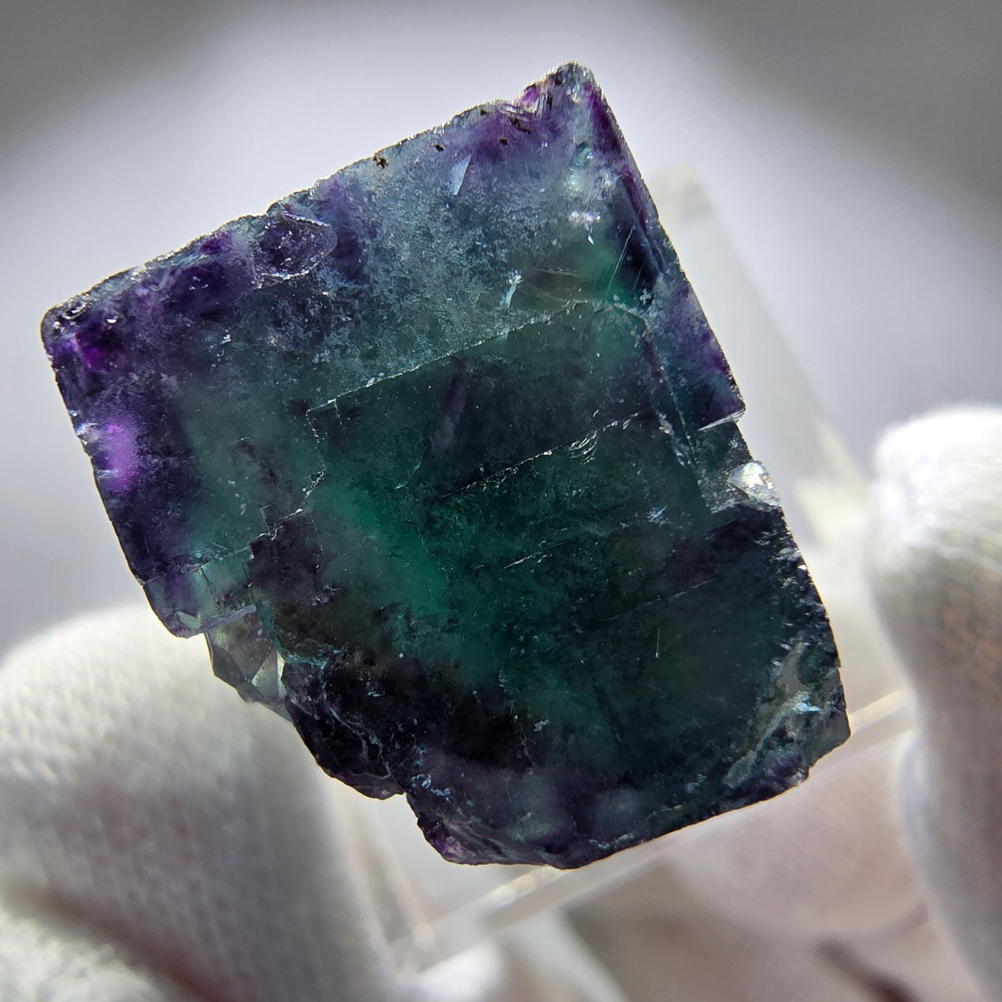 Spécimen rare de cube de fluorite fantôme, vert zonal et violet, Okorusu, Namibie, 27 x 27 x 16 mm