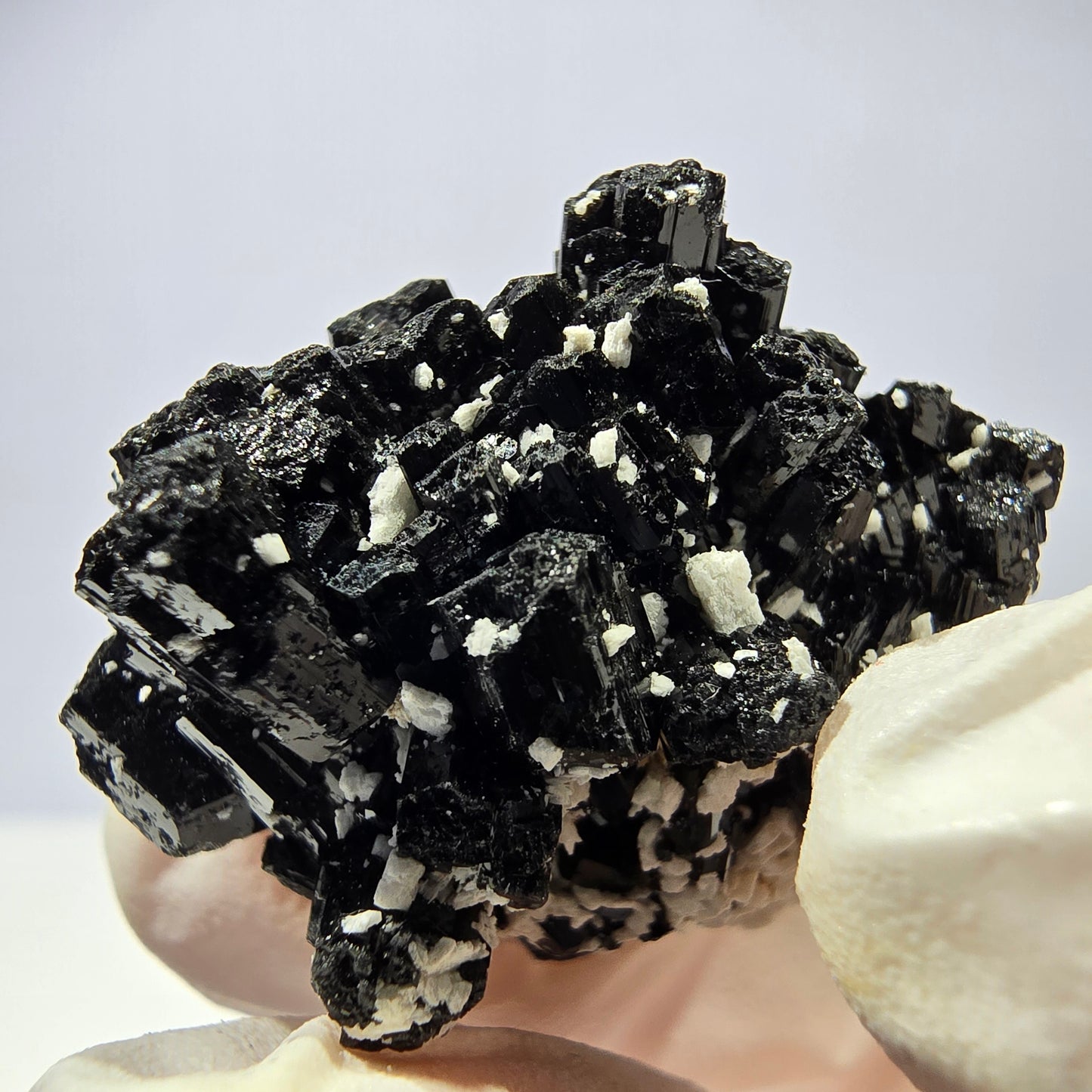 Tourmaline Schorl rare, spécimen d'orthose, Erongo, Namibie, 35 x 21 x 26 mm