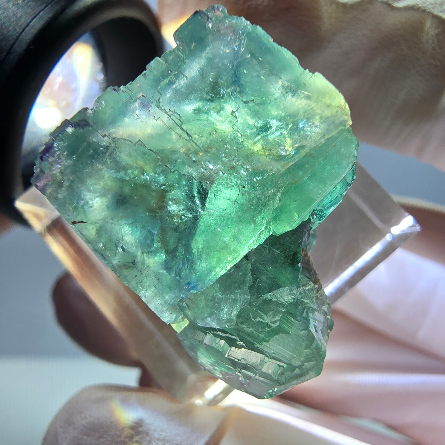 Phantom Fluorit Würfel Stufe, grün parkettiert Okorusu, Namibia 22*20*18mm