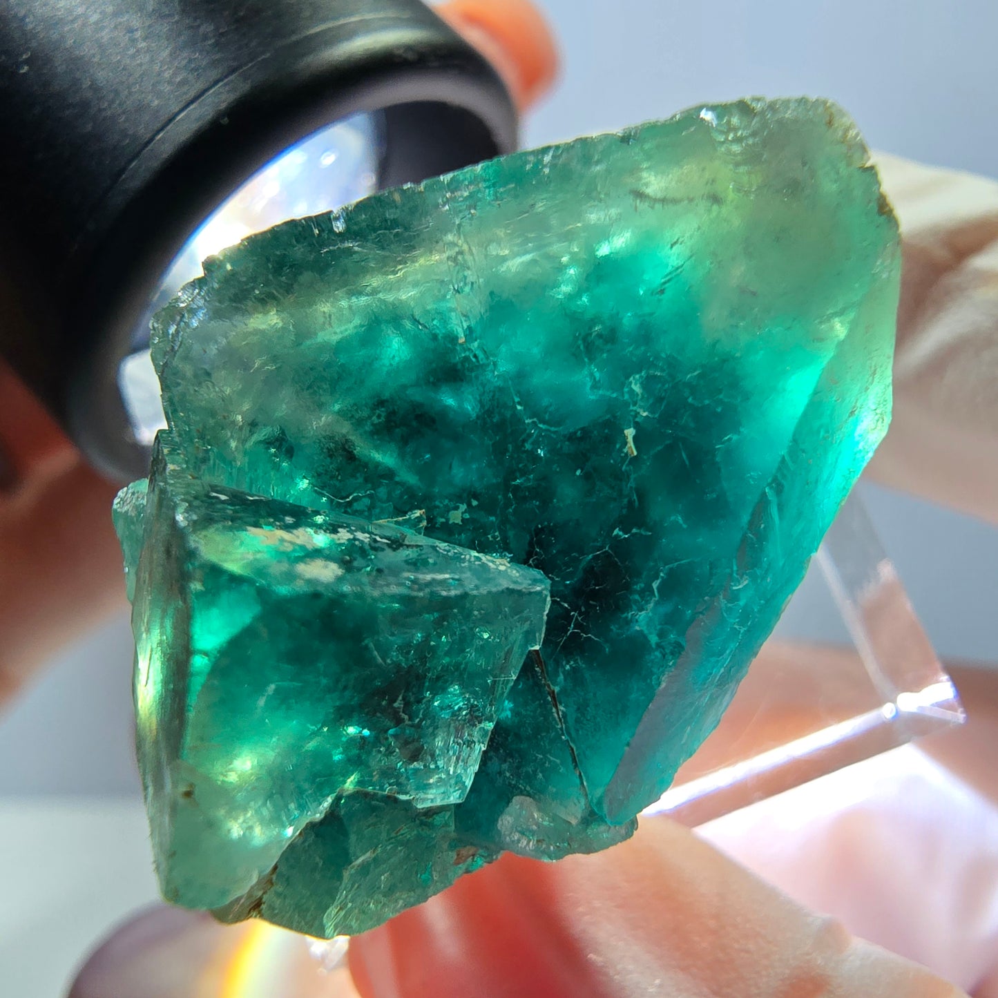 Spécimen de cube de fluorite fantôme, parquet vert Okorusu, Namibie 30*22*20 mm