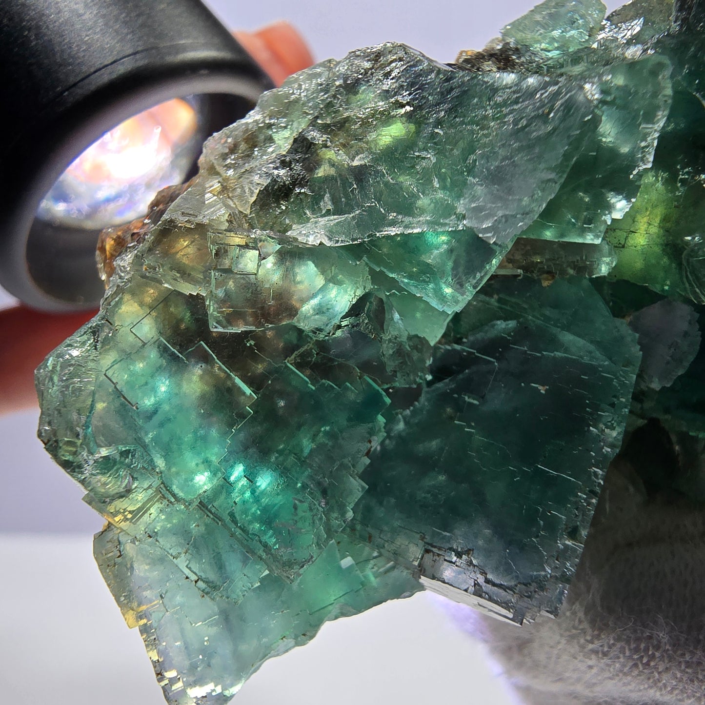 Rare spécimen de cube de fluorite fantôme, parqueté vert Okorusu, Namibie, 59 x 36 x 22 mm