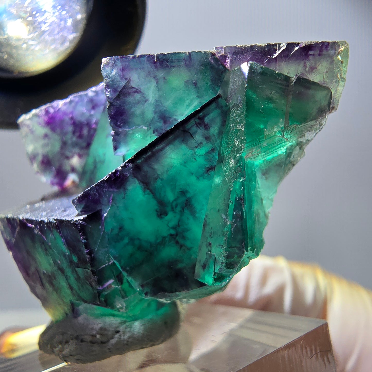 Spécimen rare de cube de fluorite, vert violet, Okorusu, Namibie, 40 x 31 x 17 mm