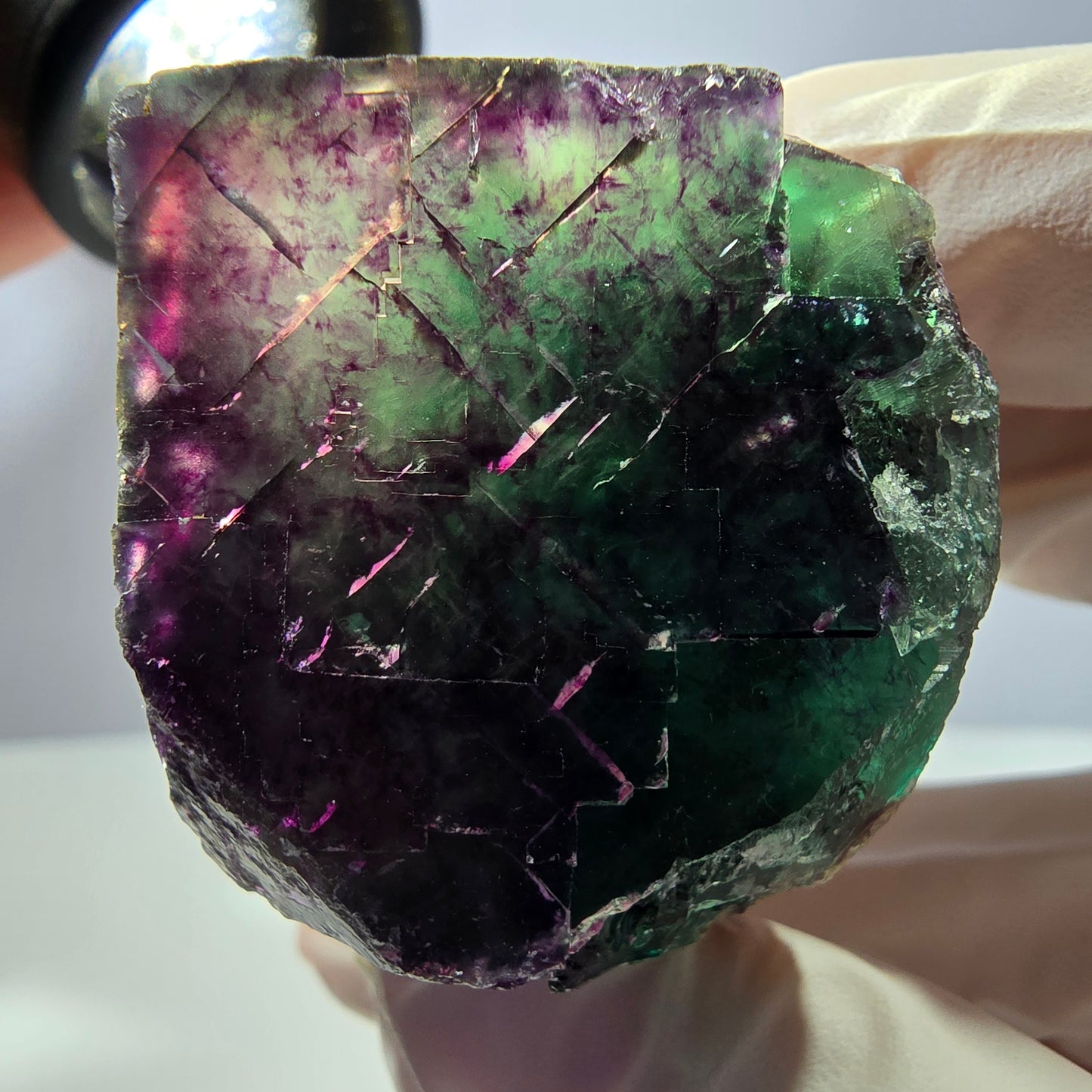 Spécimen de cube de fluorite fantôme parqueté vert violet Okorusu, Namibie 46*38*32mm