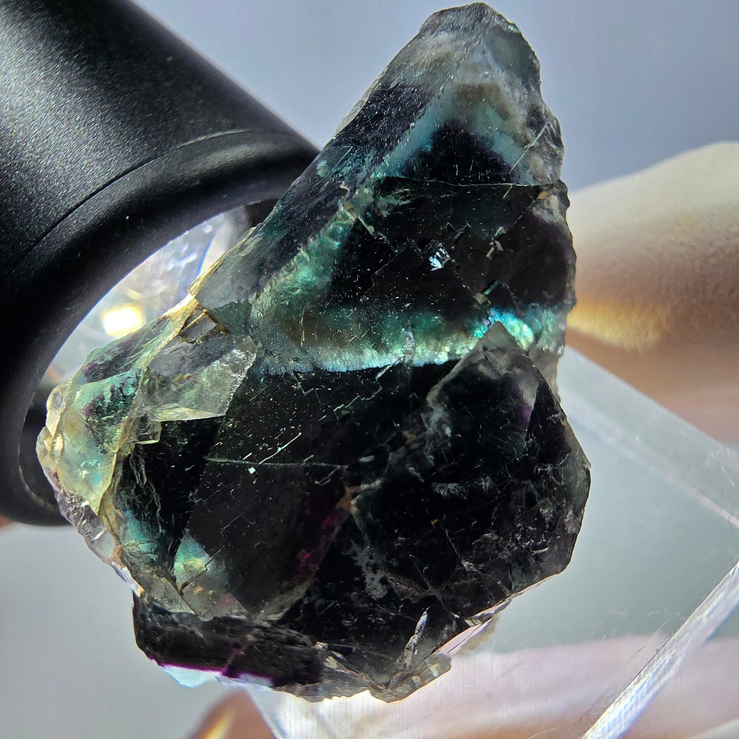 Spécimen de cube de fluorite fantôme, parqueté vert violet Okorusu, Namibie 35*22*15 mm