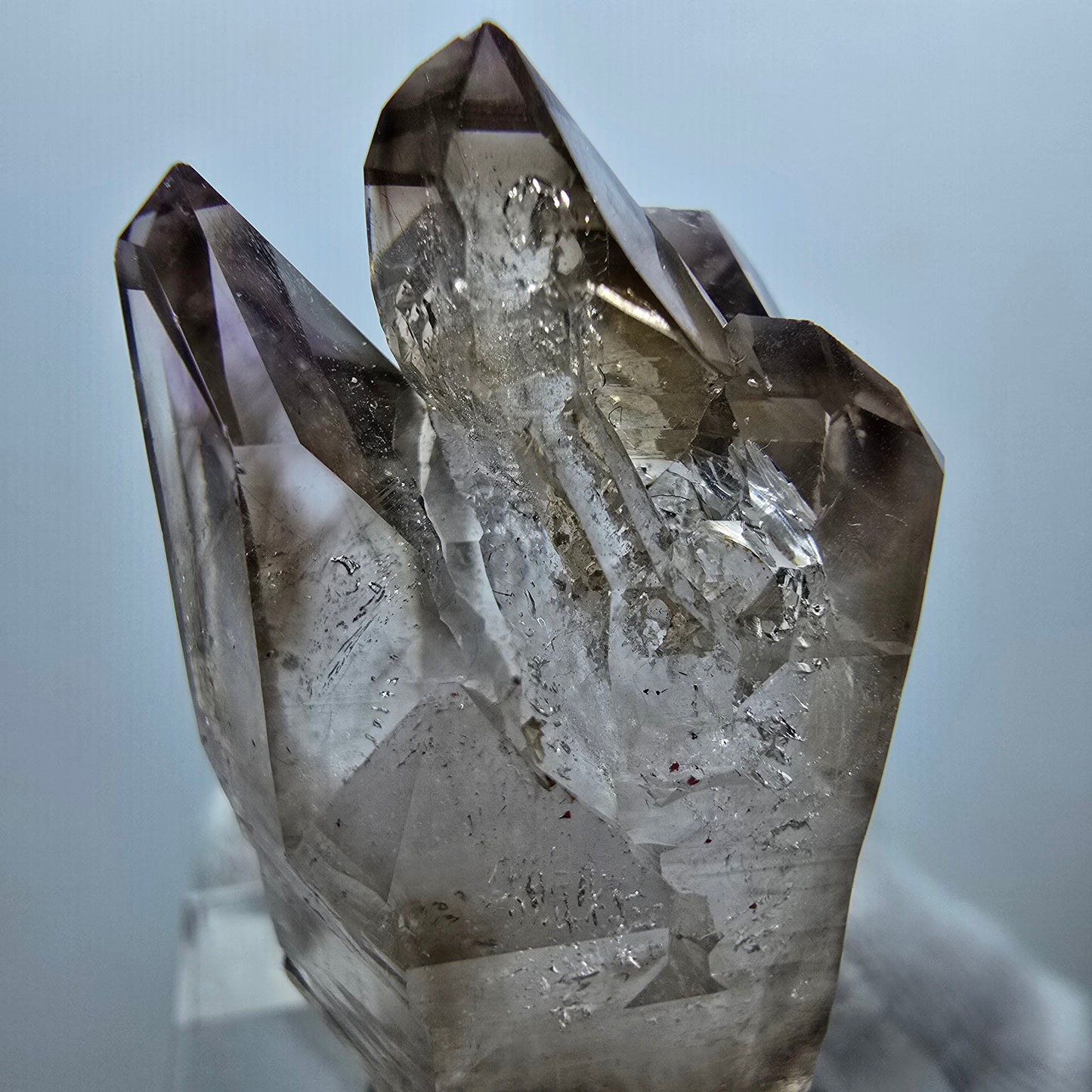 Amas de sceptres en quartz fumé fantôme transparent, Goboboseb, Namibie, 35 x 20 x 17 mm