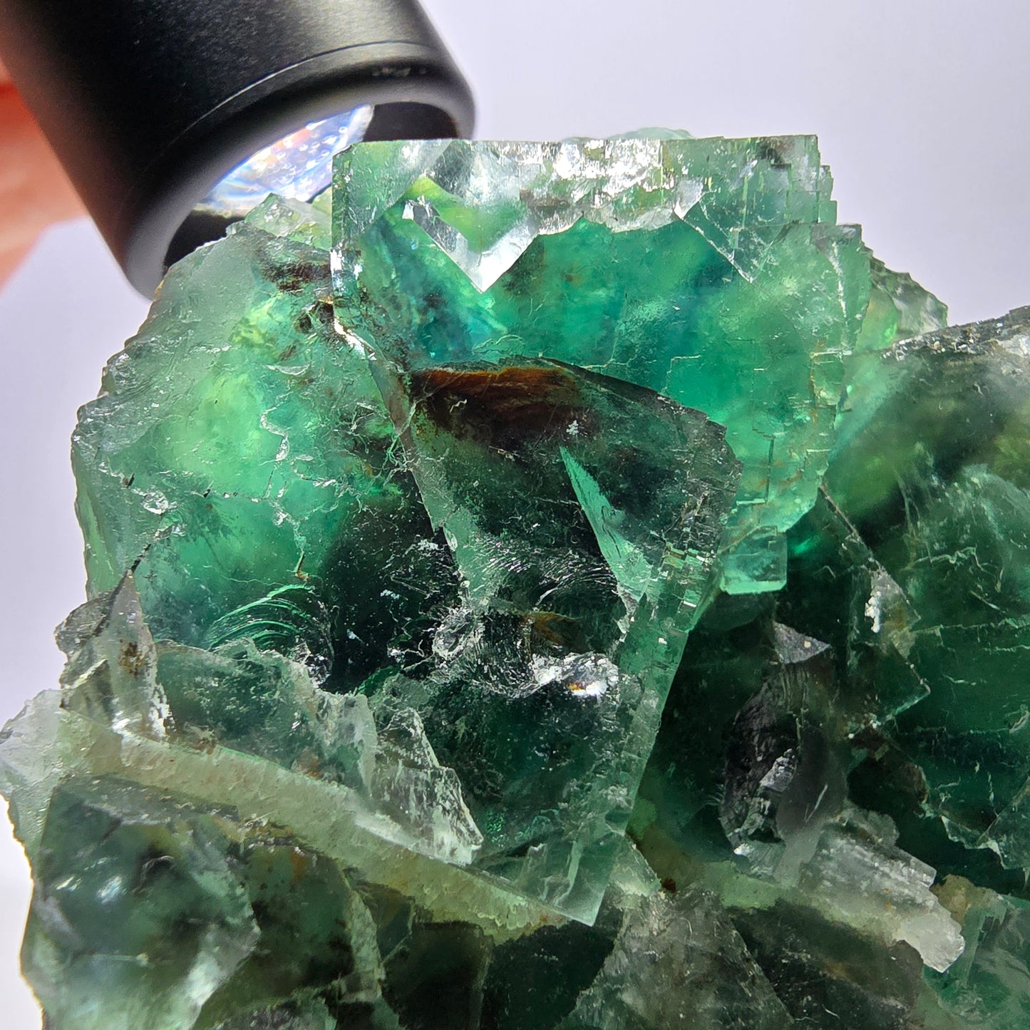 Grand spécimen de cube de fluorite fantôme, vert parqueté Okorusu, Namibie 84*80*40 mm