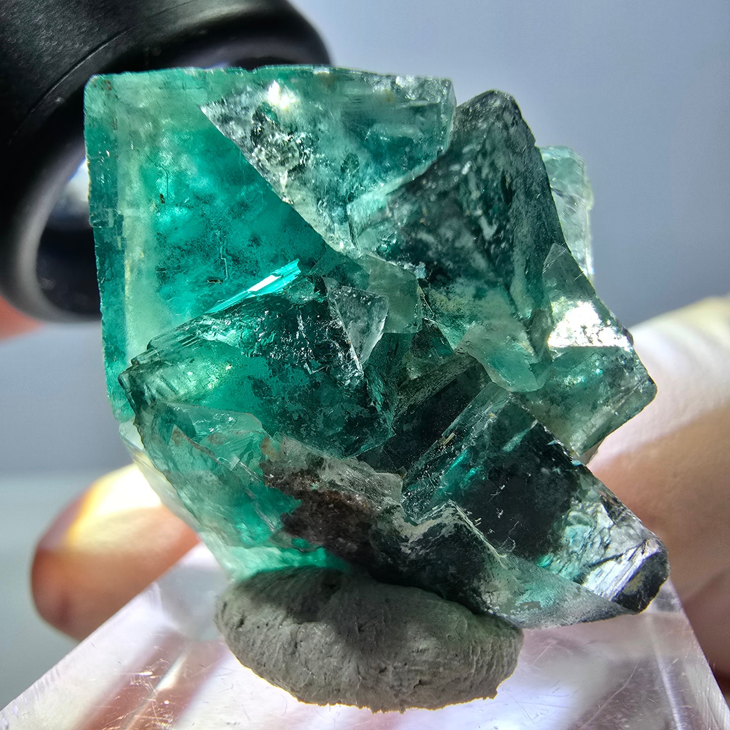 Spécimen de cube de fluorite fantôme, parquet vert Okorusu, Namibie 27 x 25 x 17 mm