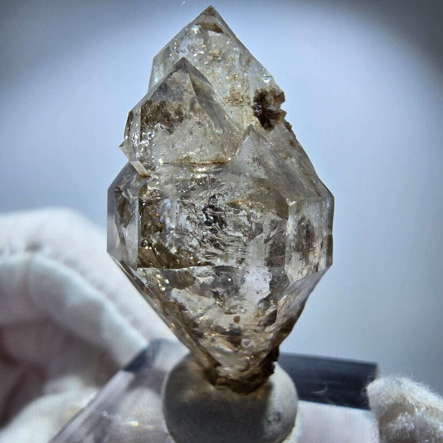 Phantom Rauchquarz DT Skelett Zepter Kristall Goboboseb, Namibia 36*30*19mm