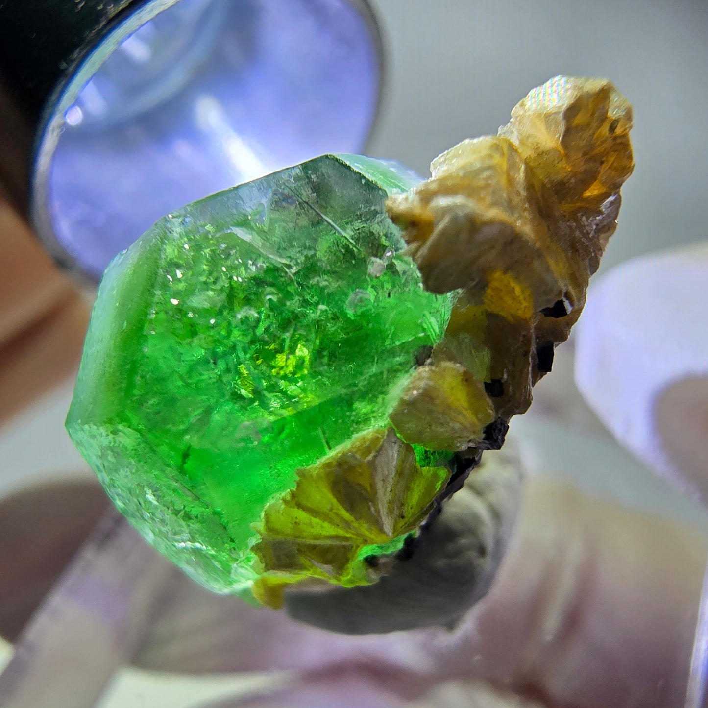 Cube hexagonal de fluorite fantôme, muscovite, tourmaline Schörl, Erongo, Namibie, 20 x 17 x 13 mm