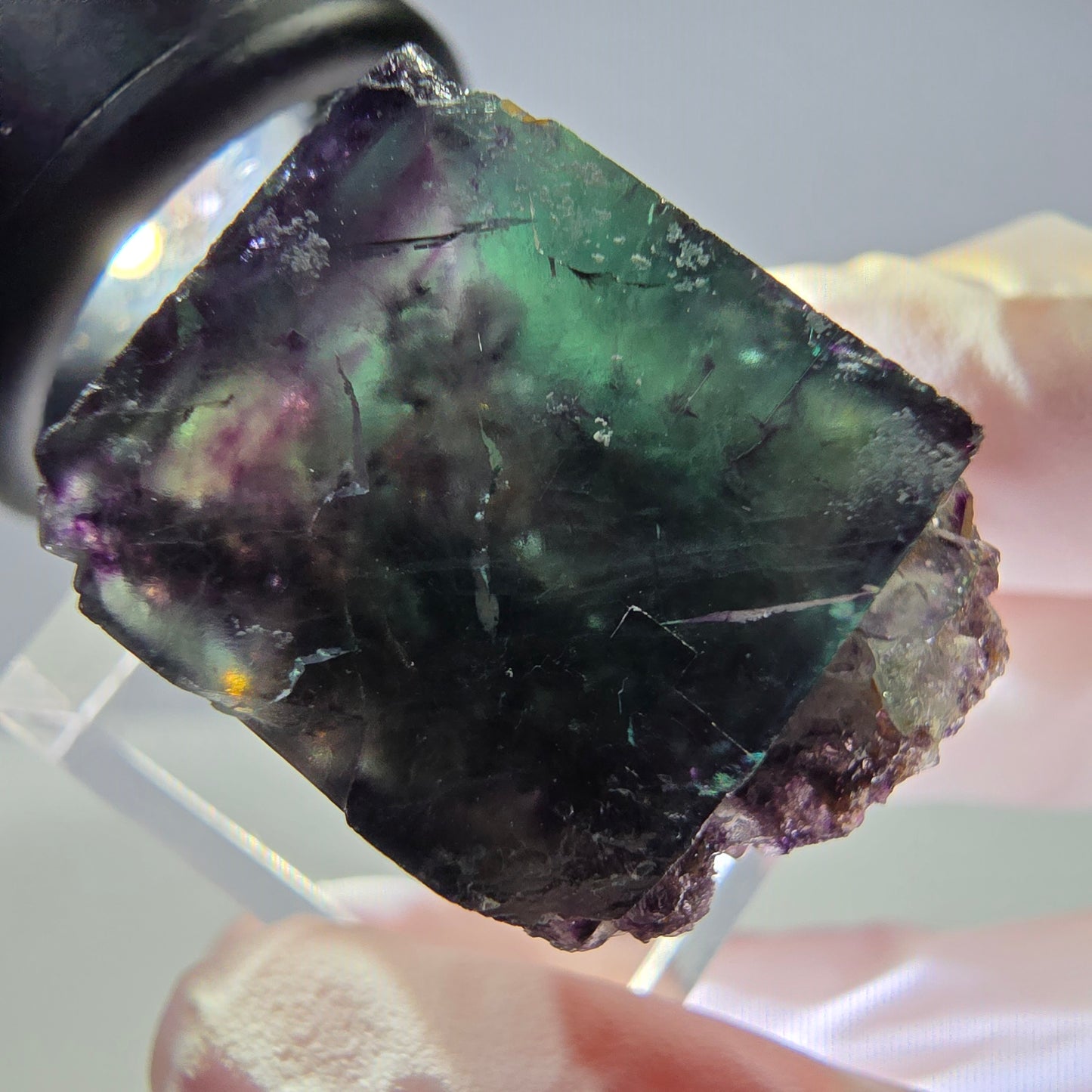 Rare cube de fluorite fantôme parqueté vert violet Okorusu Namibie 25*19*16mm