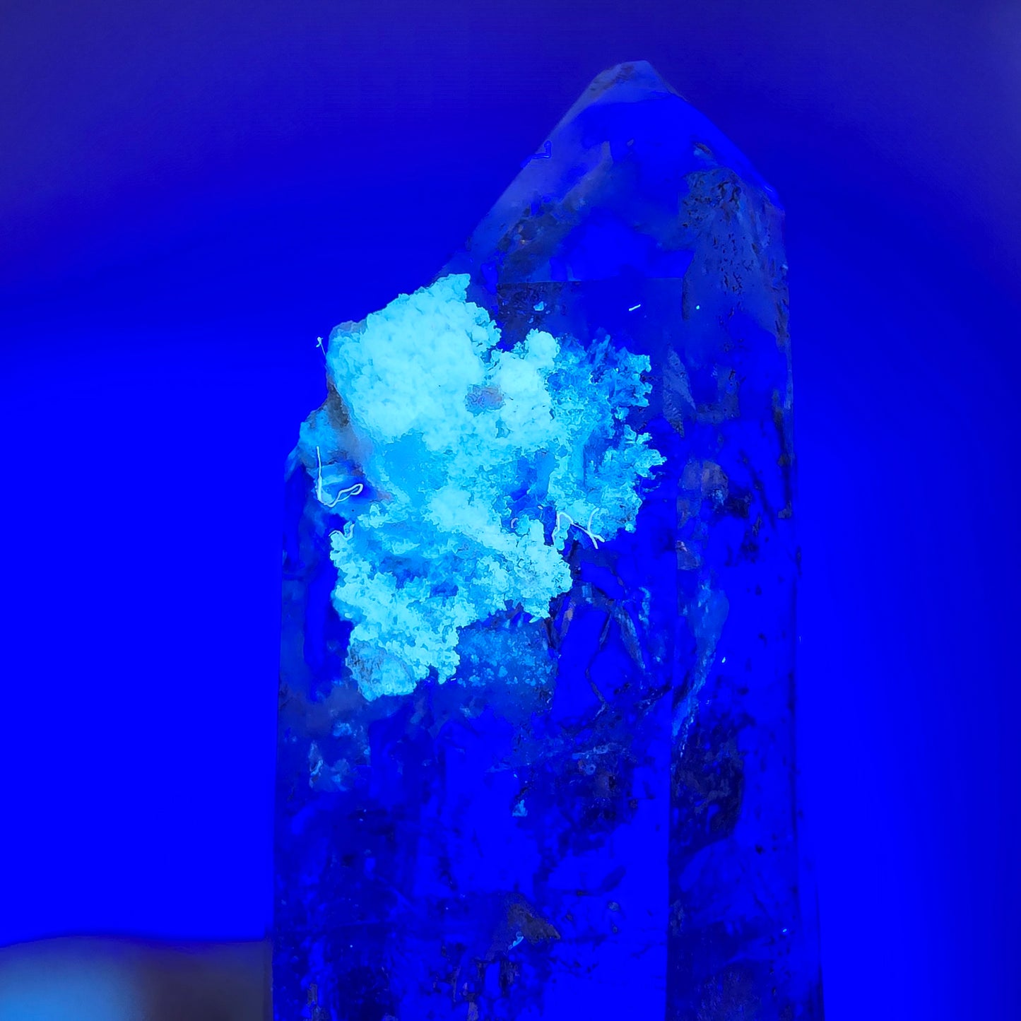Sceptre DT en quartz fumé squelette Enhydro, poche Valentine en calcite UV, Namibie 98 x 24 x 18 mm