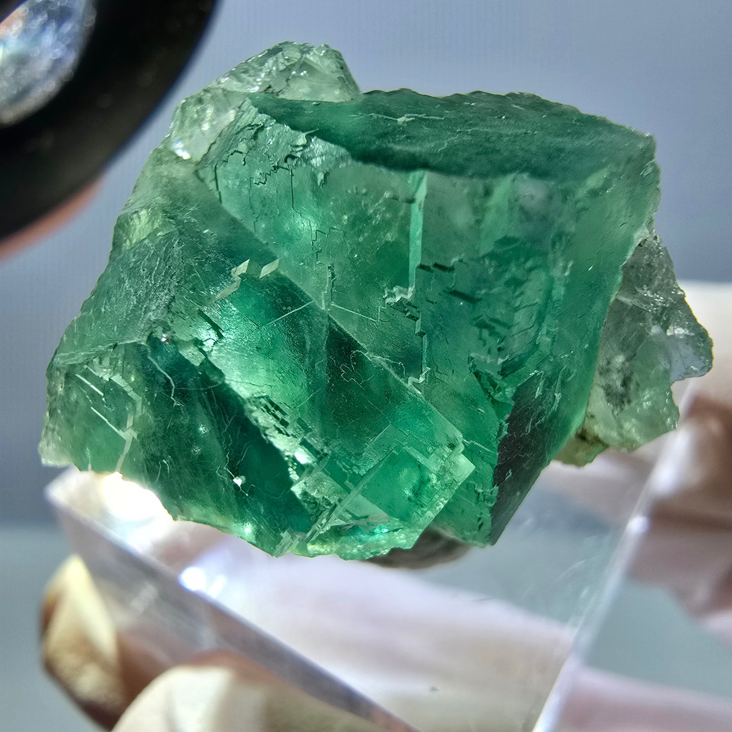 Phantom Fluorit Würfel Stufe, grün parkettiert Okorusu, Namibia 26*21*21mm