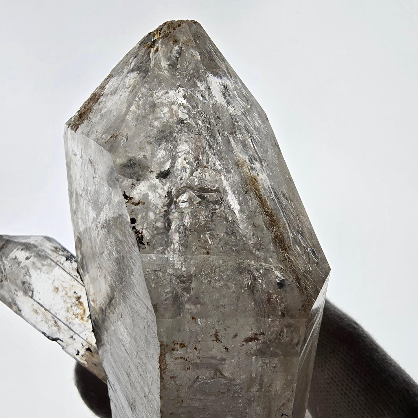 Sceptre DT Enhydro Skeleton Smoky Quartz 3x Bubble (grand) Valentine Pocket Namibie 131*70*52mm