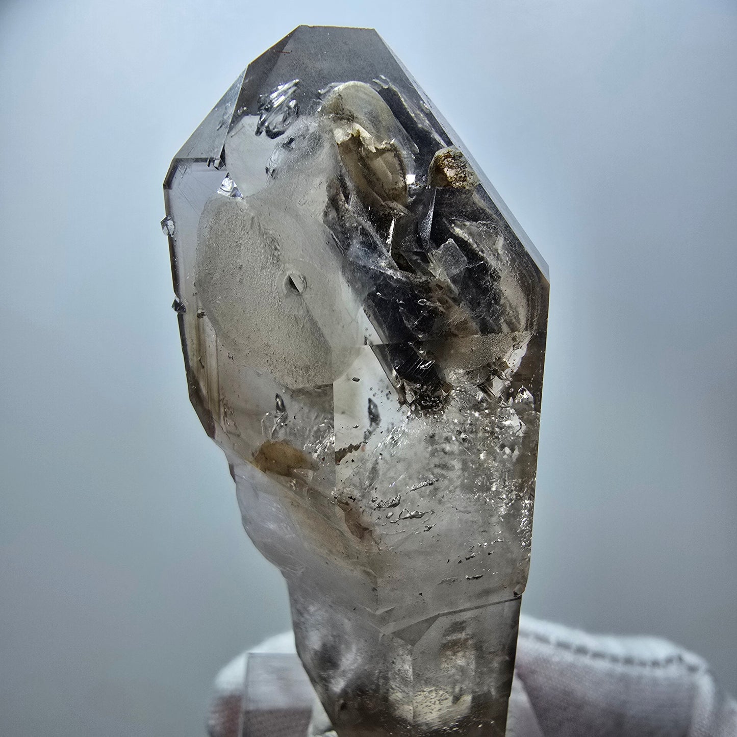 Phantom Rauchquarz DT Fenster Zepter Kristall Goboboseb, Namibia 63*26*24mm