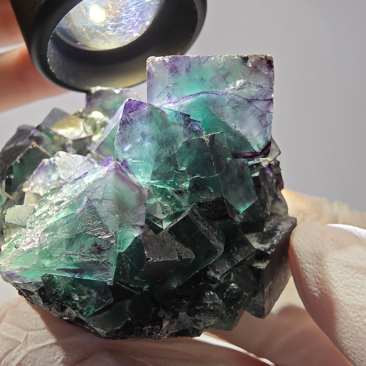 Spécimen de cube de fluorite fantôme, parqueté vert violet Okorusu, Namibie 59*46*39 mm