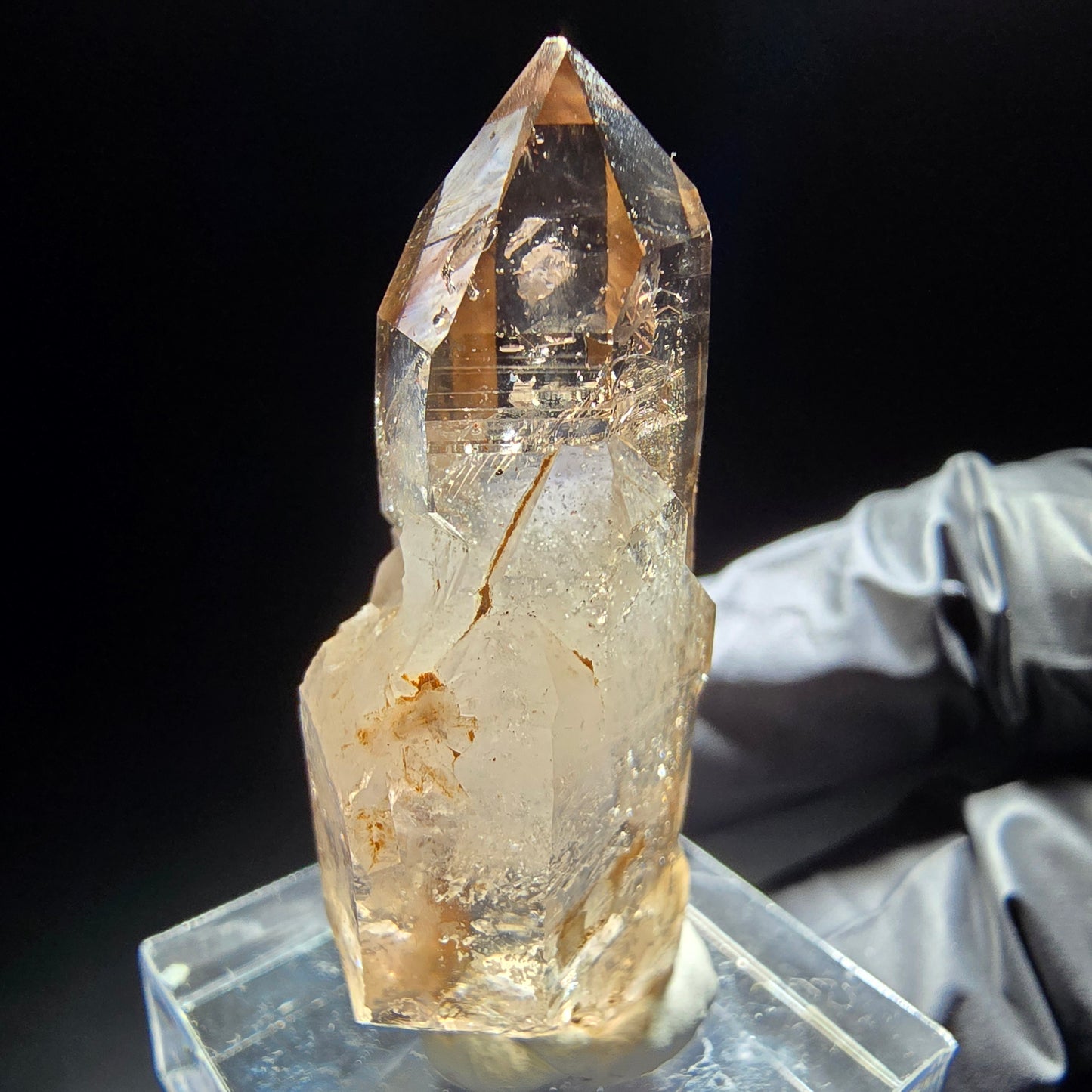 Klare Phantom Rauchquarz Zepter Spitze Goboboseb, Namibia 42*19*12mm Sammlung