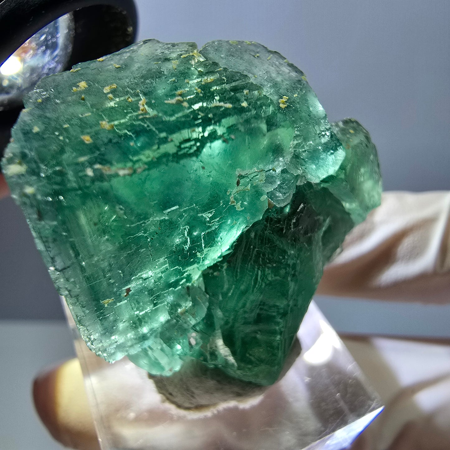 Spécimen de cube de fluorite fantôme, parquet vert Okorusu, Namibie 36 x 36 x 18 mm