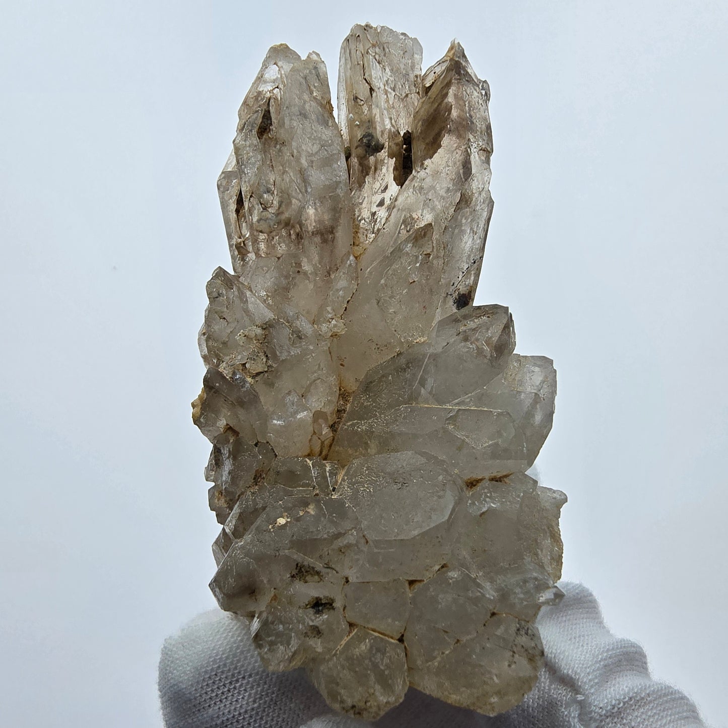 Enhydro Phantom Rauchquarz Zepter Stufe, 2x Blase Goboboseb, Namibia 78*41*53mm