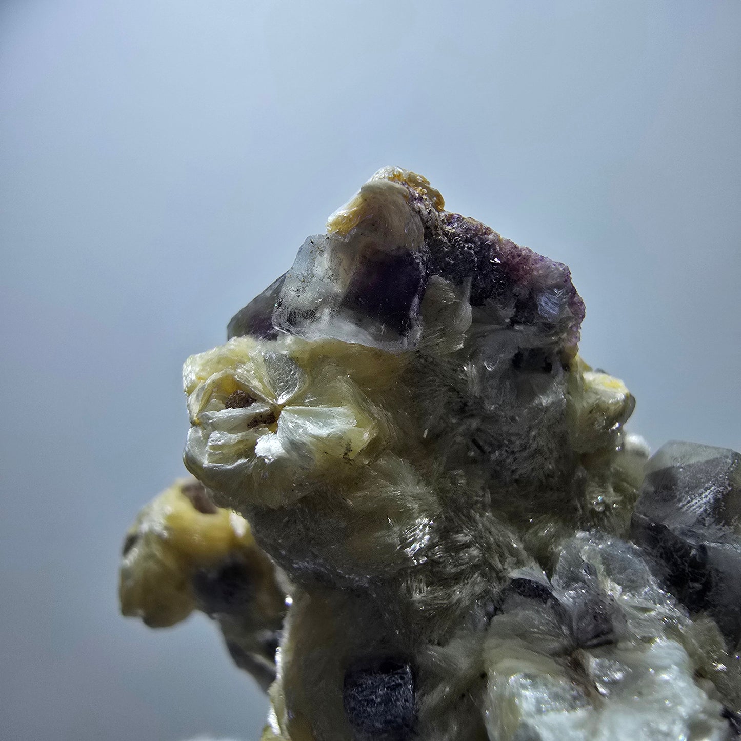 Cubes de fluorite fantôme colorés, spécimen de muscovite, Erongo, Namibie, 79 x 62 x 25 mm