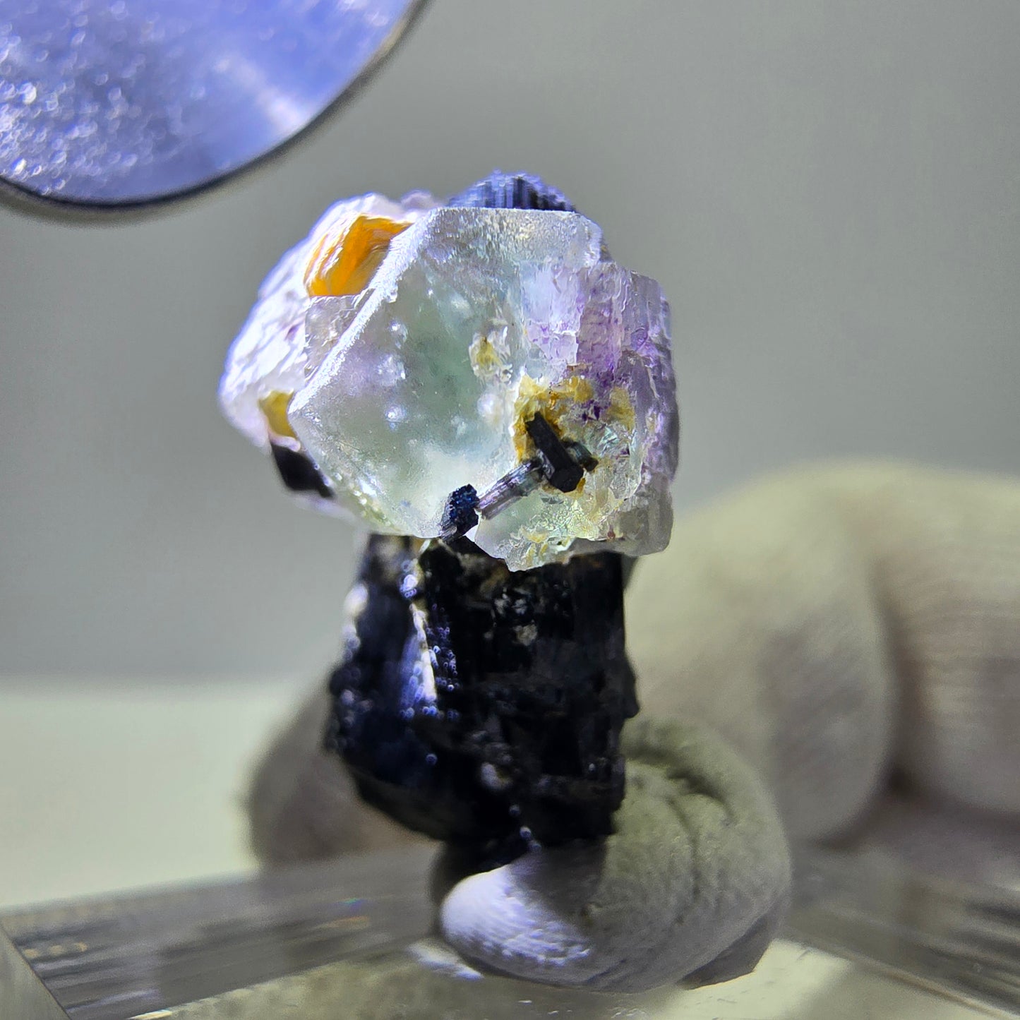 Spécimen de tourmaline Schorl hexagonale en fluorite fantôme, Erongo, Namibie, 21 x 17 x 12 mm