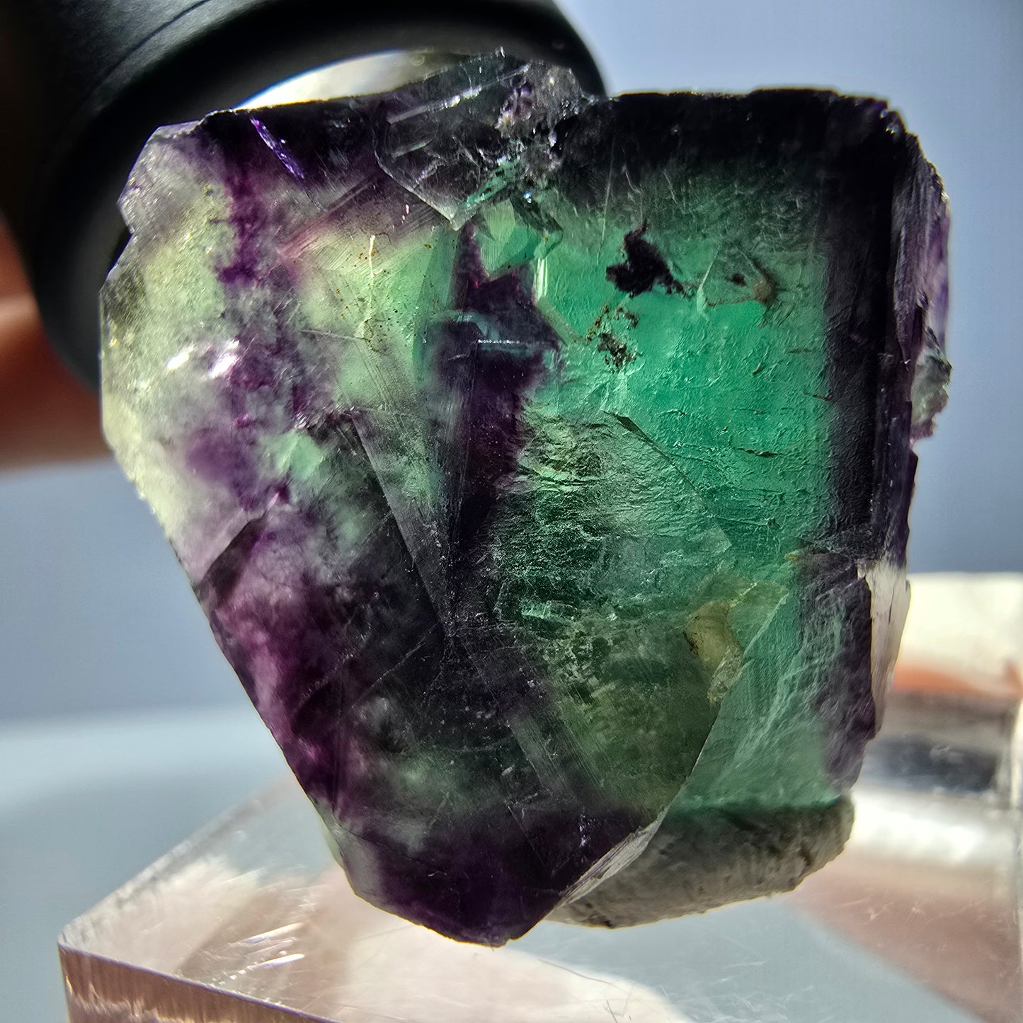 Spécimen de cube de fluorite fantôme, parqueté vert violet Okorusu, Namibie 31*22*16 mm