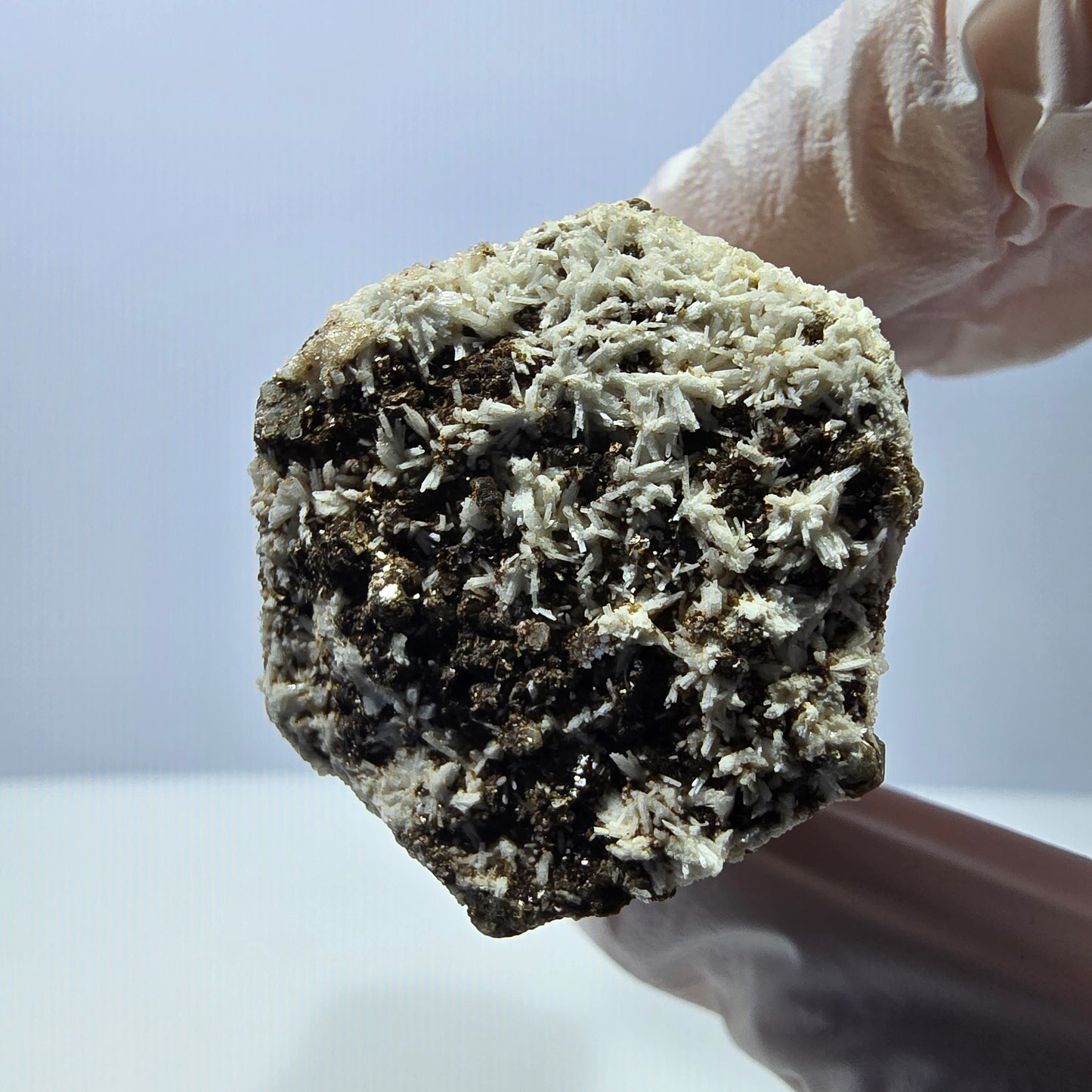 Spécimen rare de tourmaline Schorl, d'opale hyalite et d'orthose, Erongo, Namibie, 71 x 31 x 29 mm