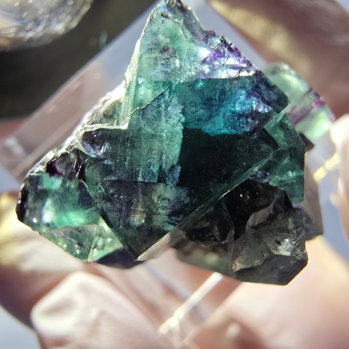 Spécimen de cube de fluorite fantôme, parqueté vert violet Okorusu, Namibie 27*21*19 mm