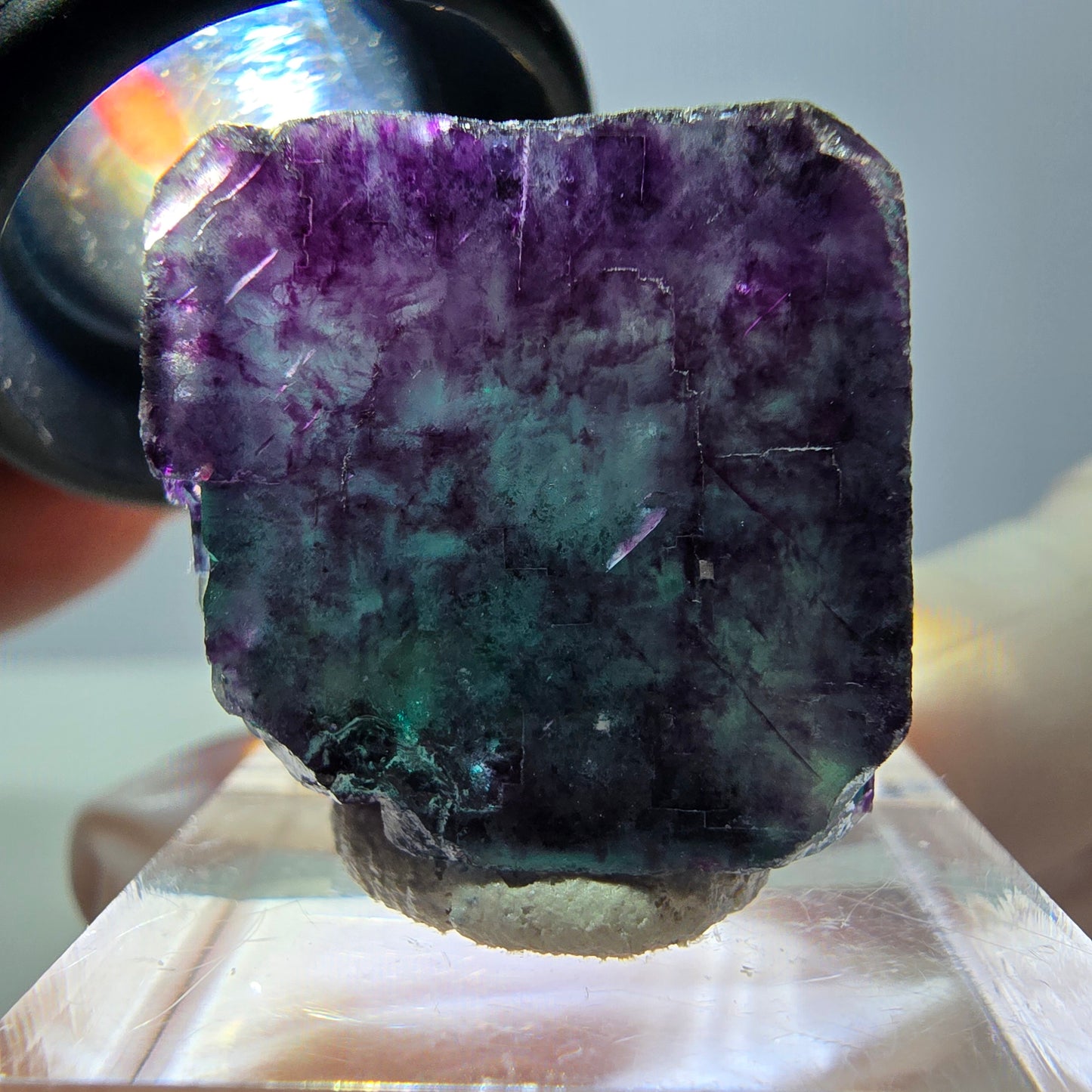 Phantom Fluorit Würfel Stufe, parkettiert grün lila Okorusu, Namibia 22*21*20mm