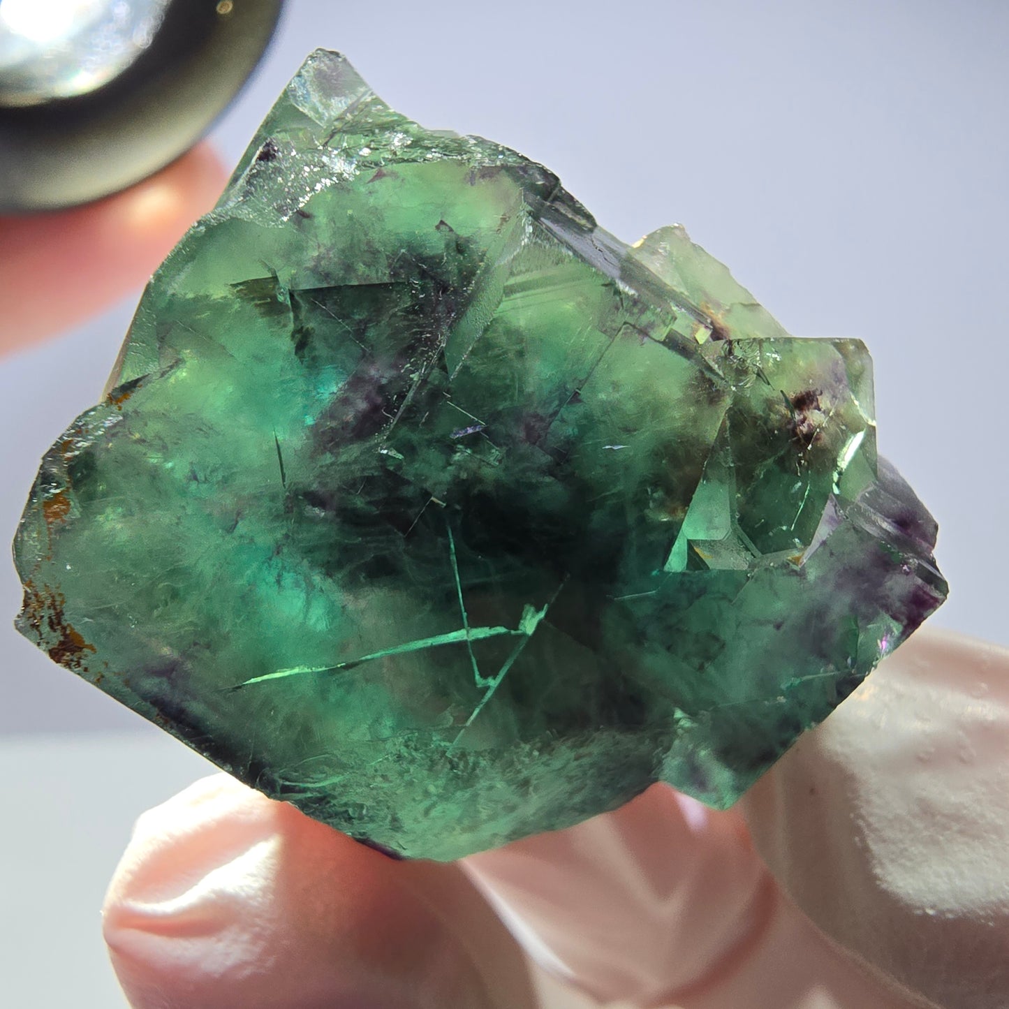 Spécimen de cube de fluorite fantôme parqueté vert violet Okorusu, Namibie 31*28*24mm