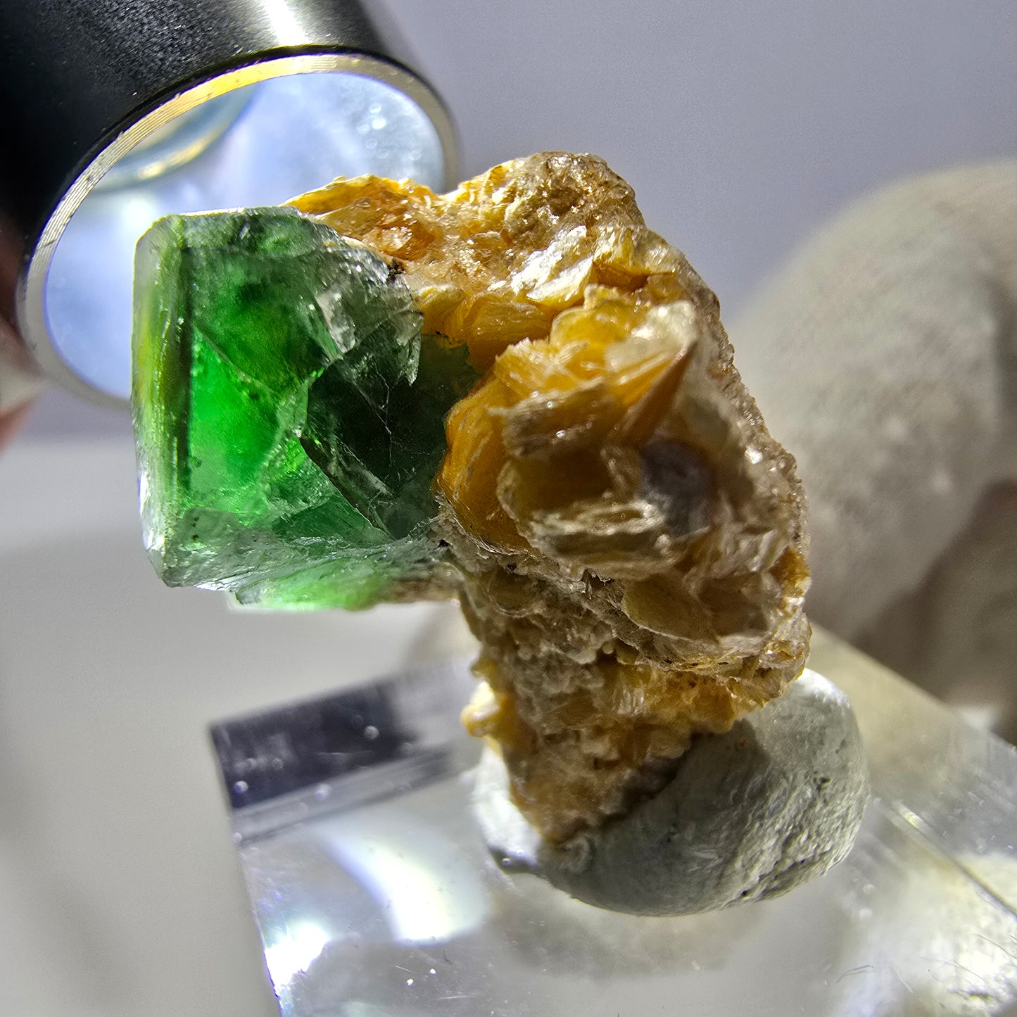 Cube de fluorite fantôme, spécimen de muscovite, Erongo, Namibie, 24 x 20 x 17 mm