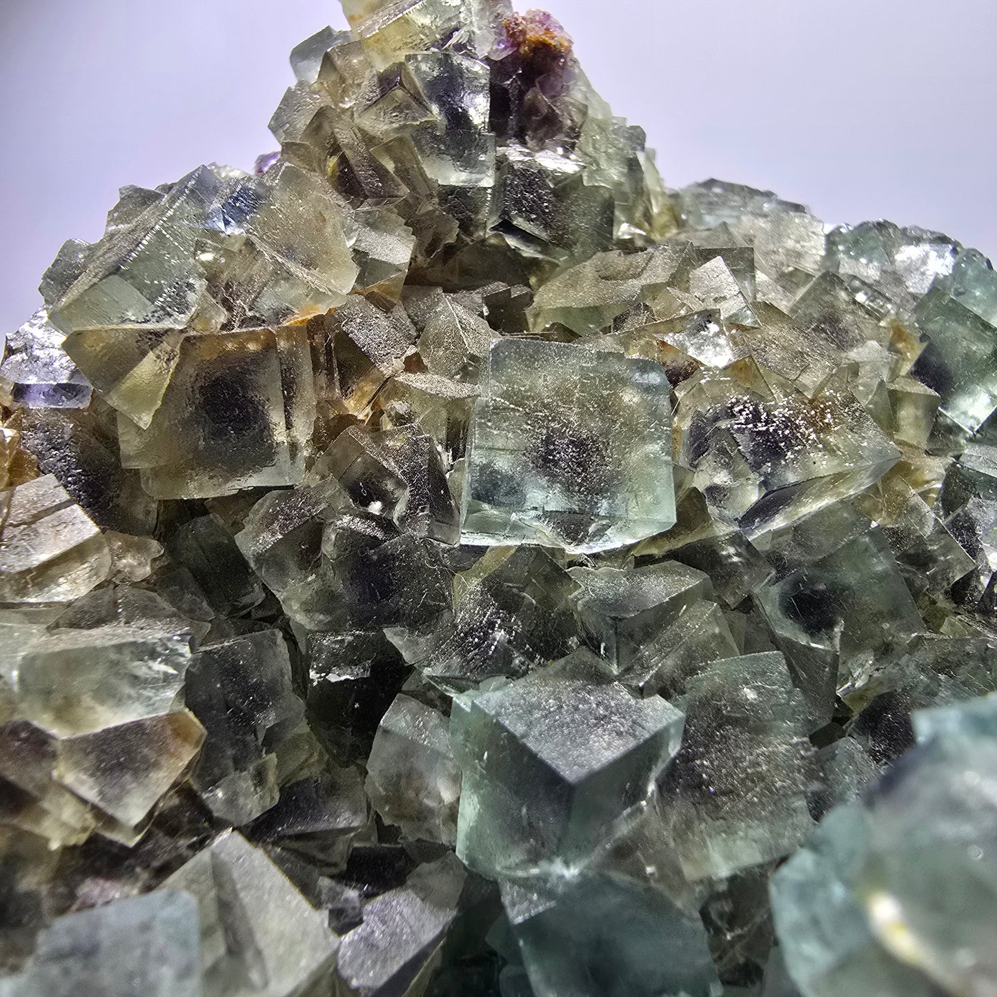Spécimen de cube de fluorite fantôme XL, parqueté, vert violet Okorusu, Namibie 181*124*74mm