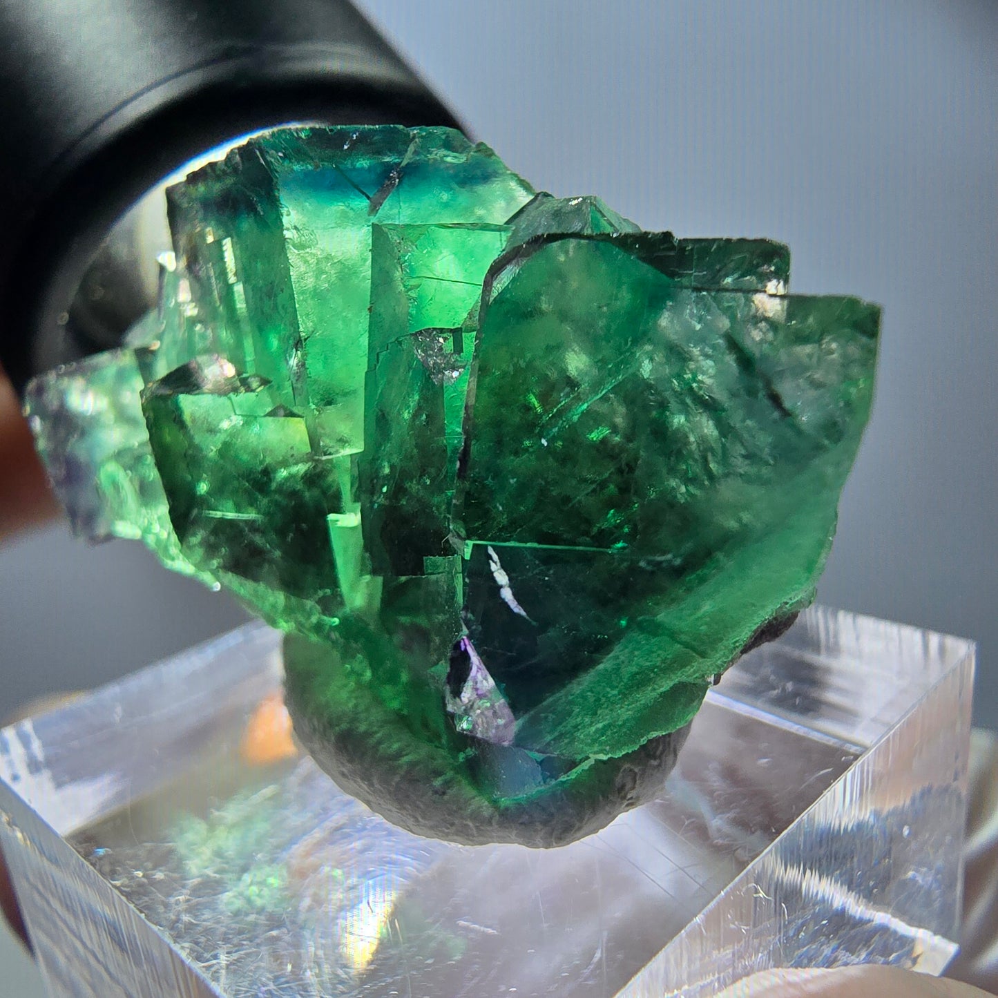 Rare spécimen de cube de fluorite, vert-violet, Okorusu, Namibie, 37 x 21 x 18 mm