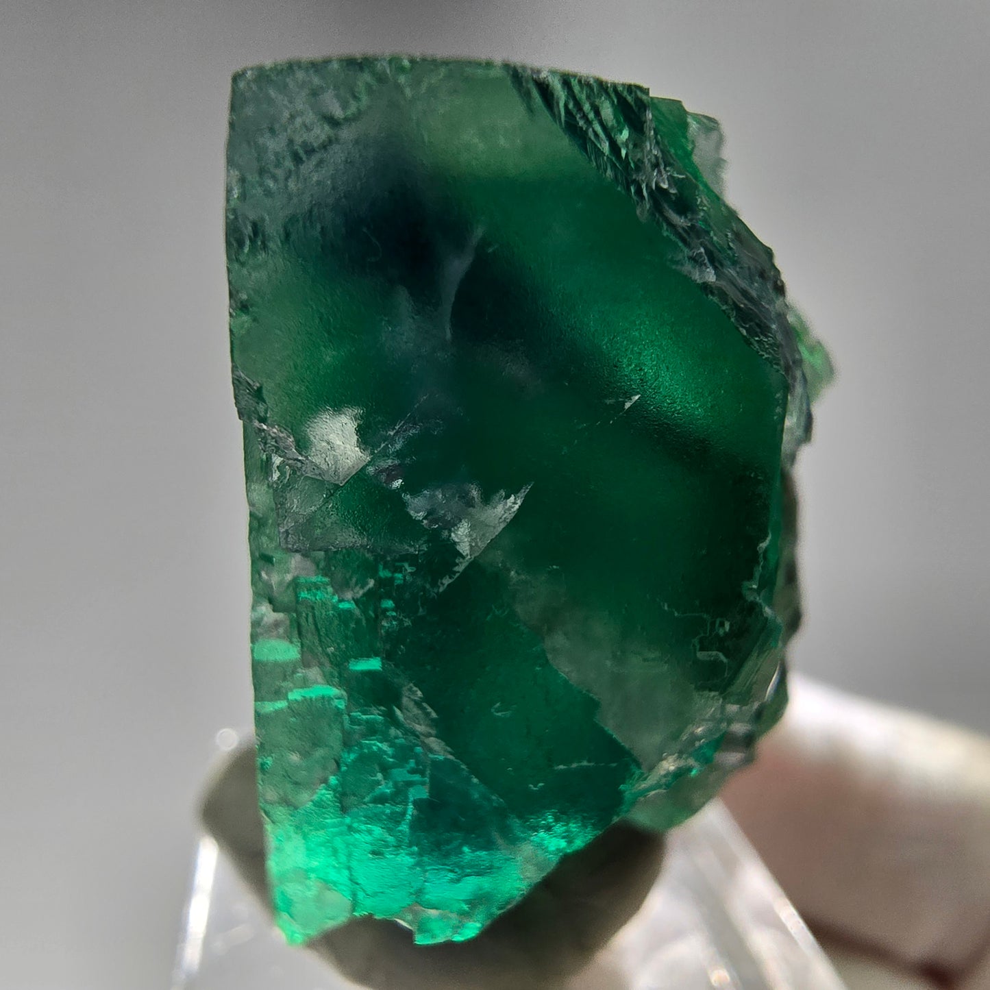 Klare Phantom Fluorit Würfel Stufe grün Okorusu, Namibia 48*43*23mm Sammlung