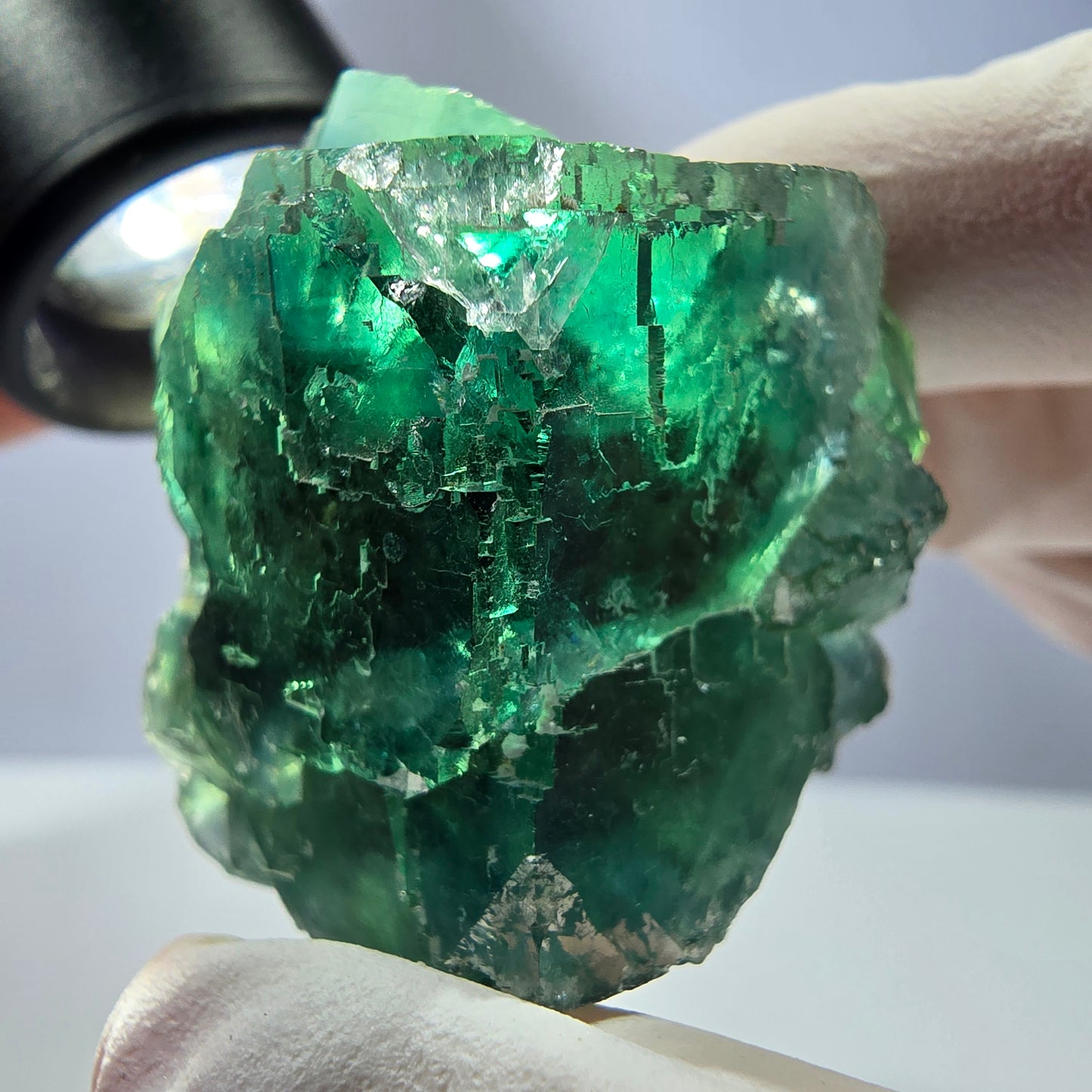 Spécimen de cube de fluorite fantôme transparente, vert parqueté, Okorusu, Namibie, 42 x 38 x 38 mm