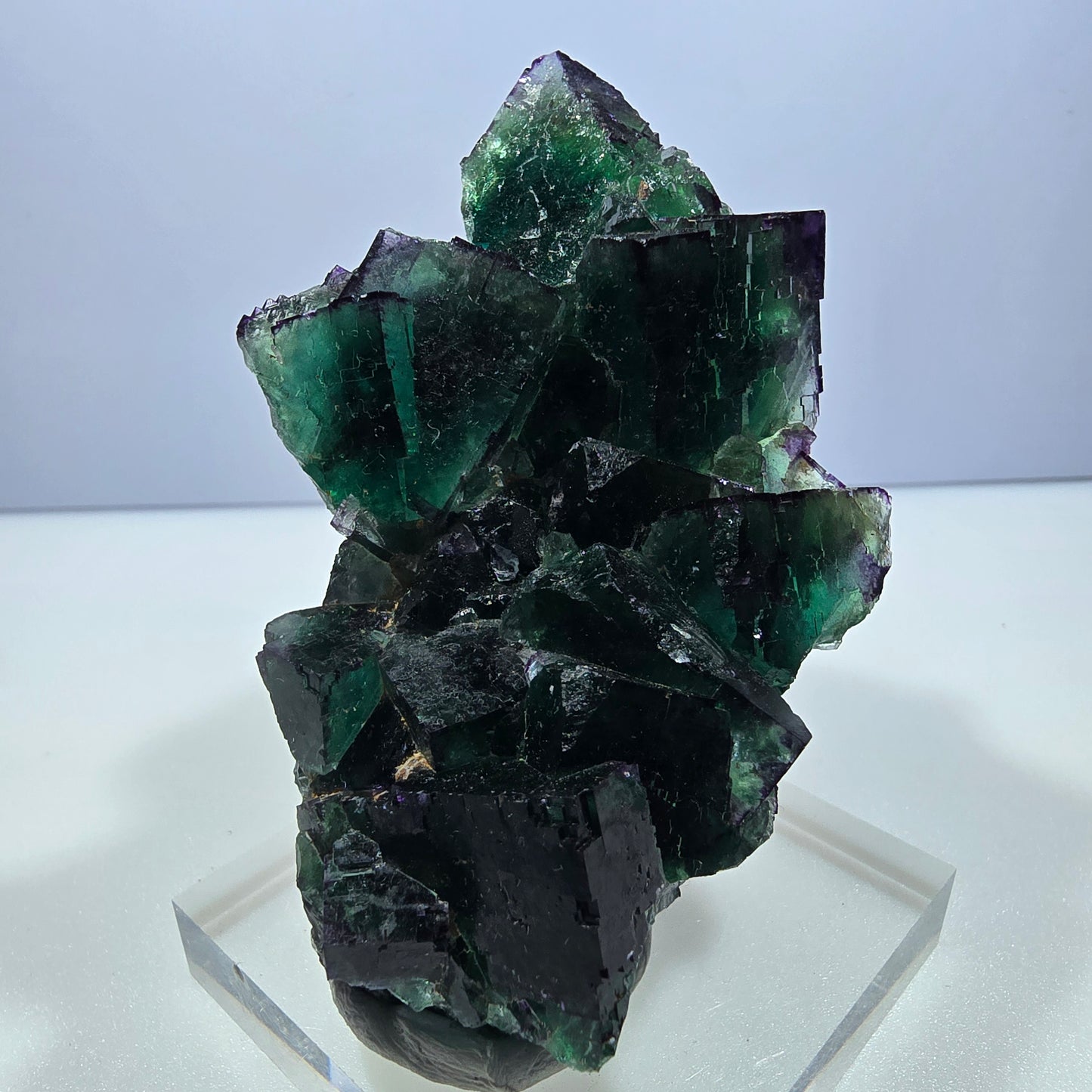 Phantom Fluorit Würfel Stufe, parkettiert grün lila Okorusu, Namibia 79*54*31mm