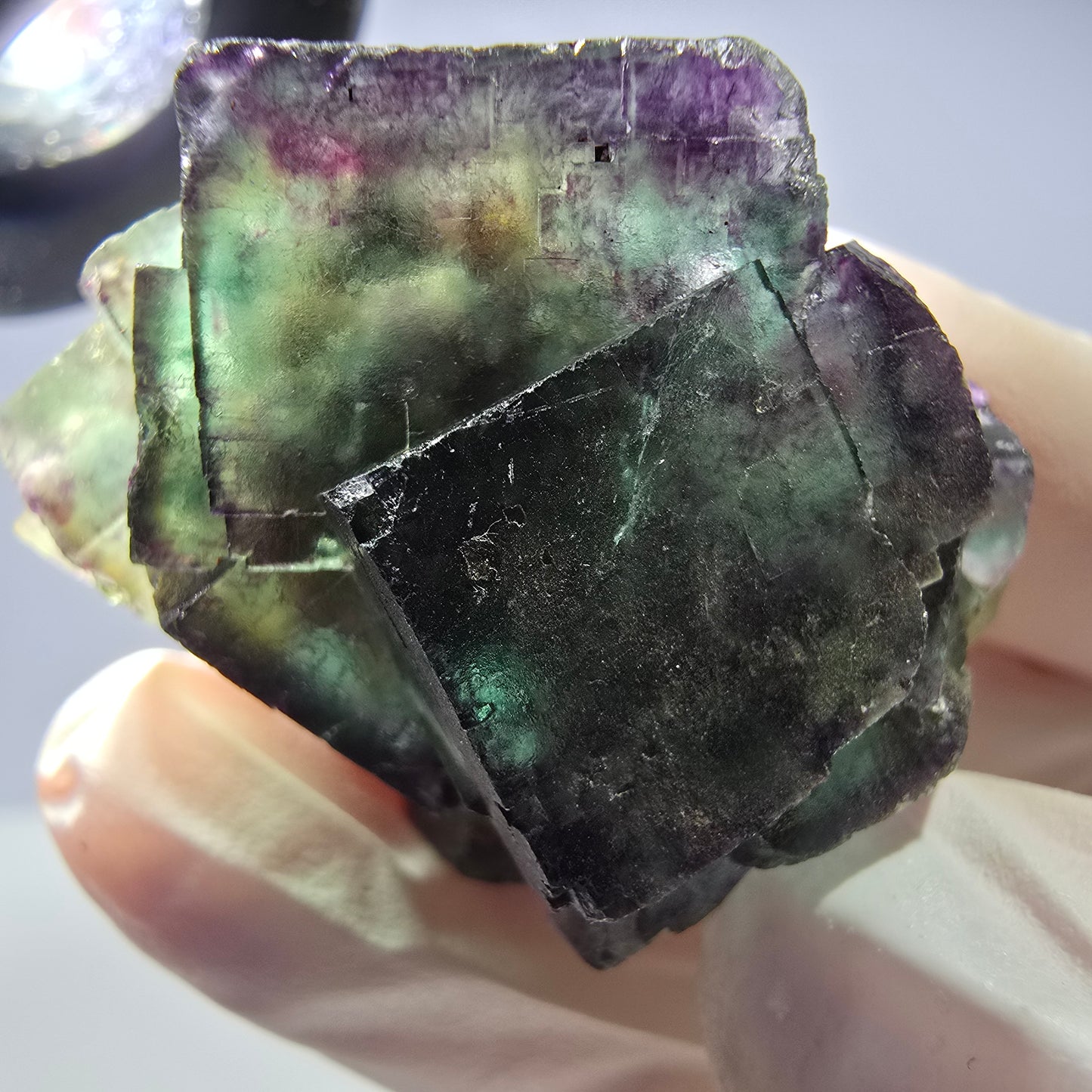 Spécimen de cube de fluorite fantôme parqueté vert violet Okorusu, Namibie 40*36*26 mm
