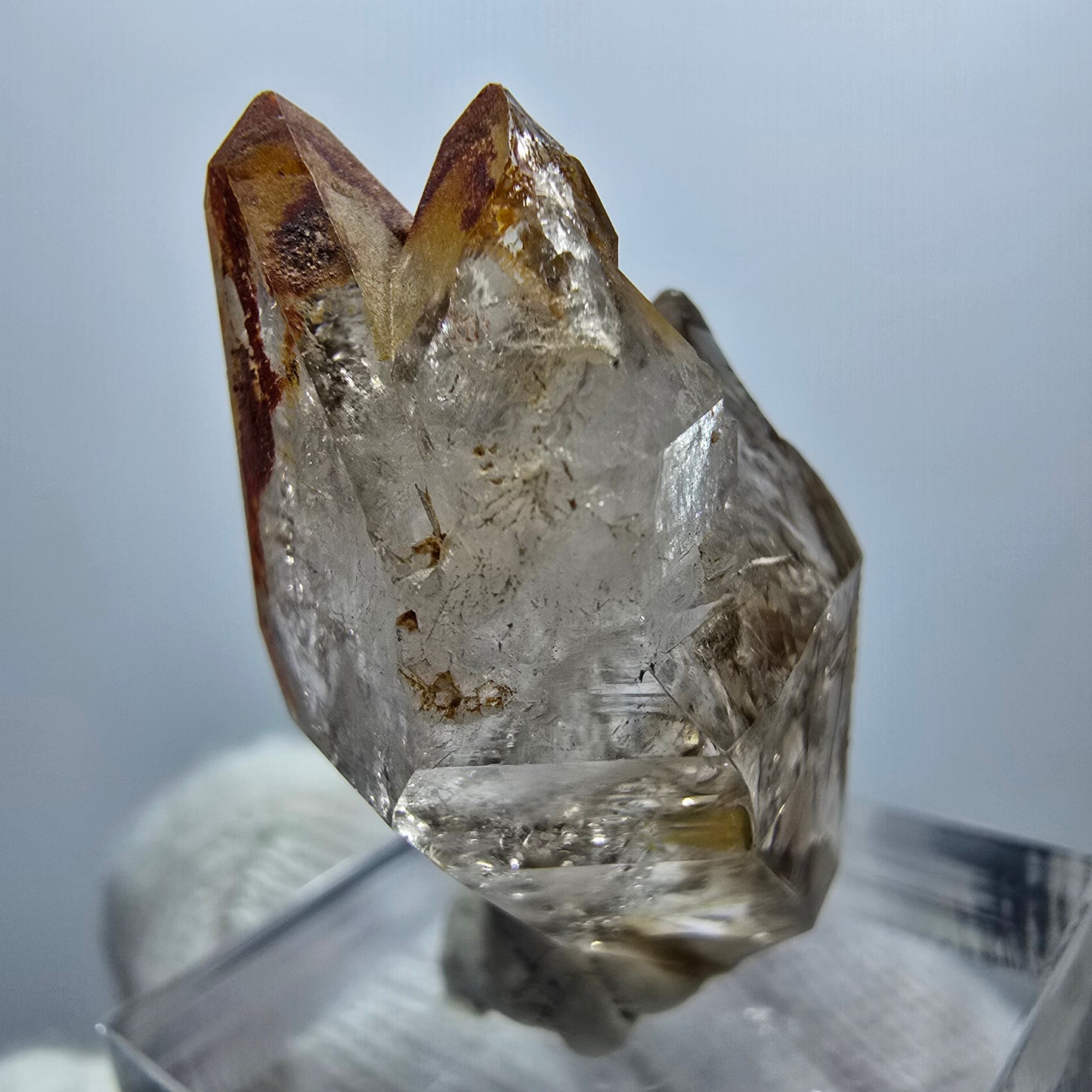 Sceptre Enhydro Phantom Smoky Quartz DT, 1x Bubble Goboboseb, Namibie 32*17*17mm