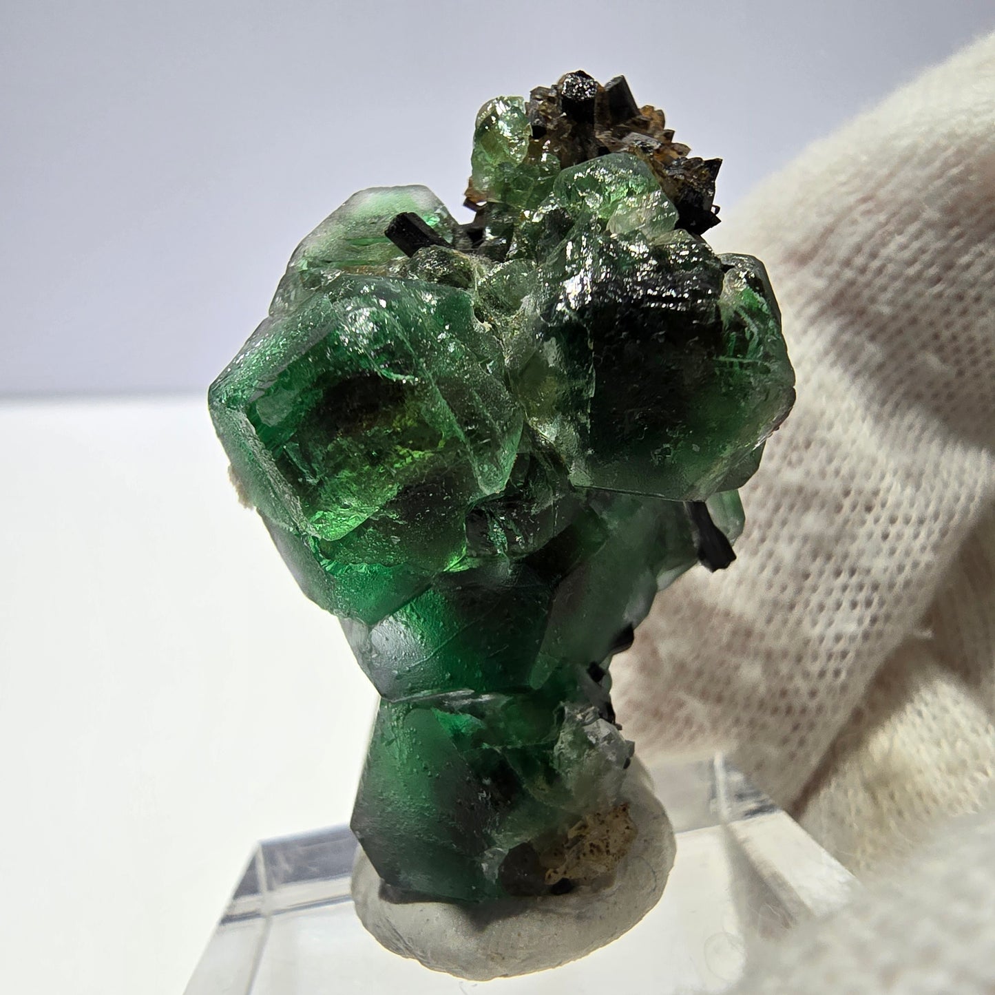 Fluorite fantôme hexagonale Schörl Tourmaline Quartz fumé Hyalite Erongo, Namibie 39*25*22mm