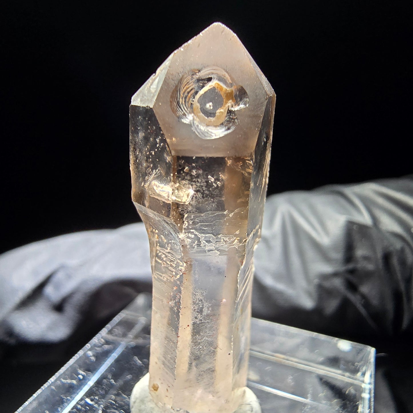 Klare Phantom Rauchquarz Zepter Spitze Goboboseb, Namibia 31*11*8mm Sammlung