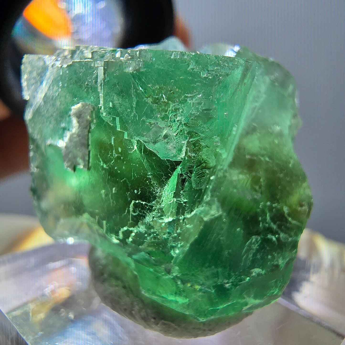Spécimen de cube de fluorite fantôme, parquet vert Okorusu, Namibie 35*26*24 mm