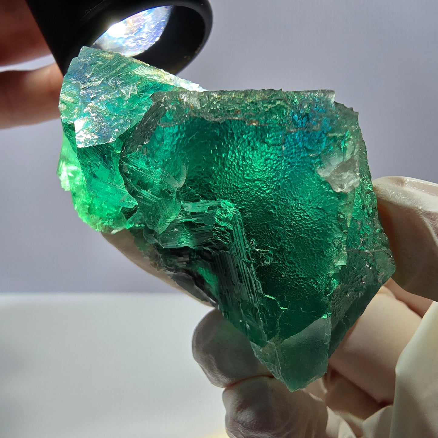 Rare spécimen de cube de fluorite fantôme, parqueté vert Okorusu, Namibie, 66 x 47 x 35 mm