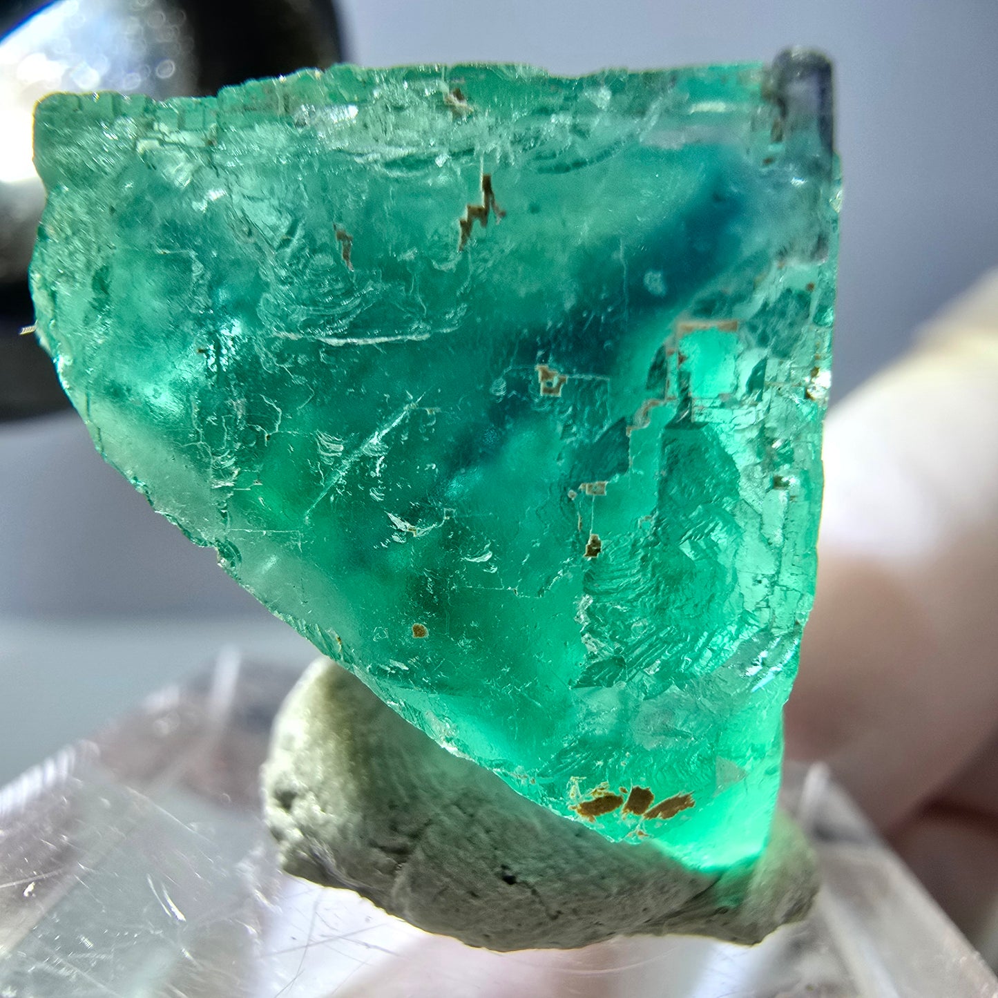 Cube de fluorite fantôme transparente parquetée, vert Okorusu, Namibie 30 x 23 x 21 mm