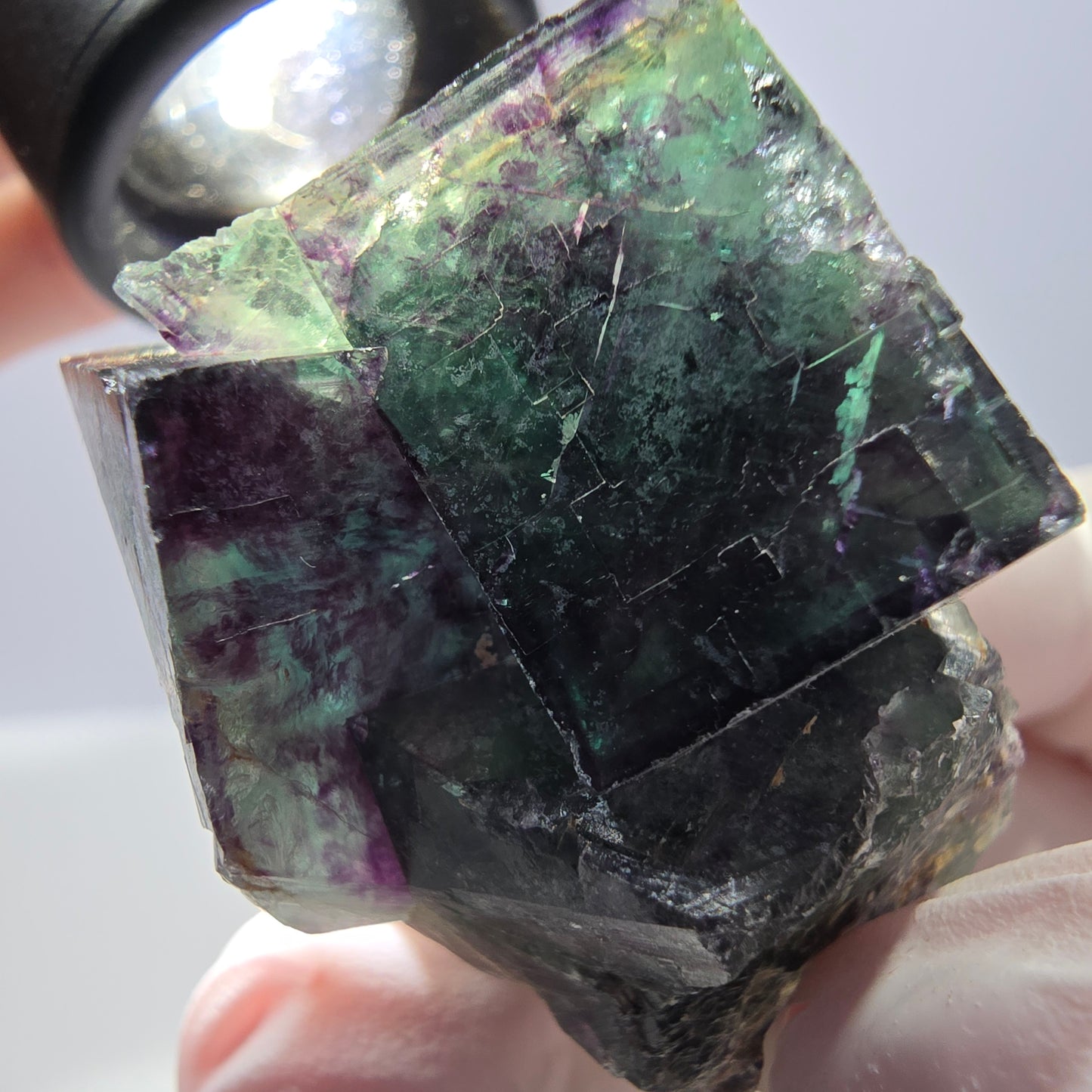 Spécimen de cube de fluorite fantôme parqueté vert violet Okorusu, Namibie 45*40*33mm