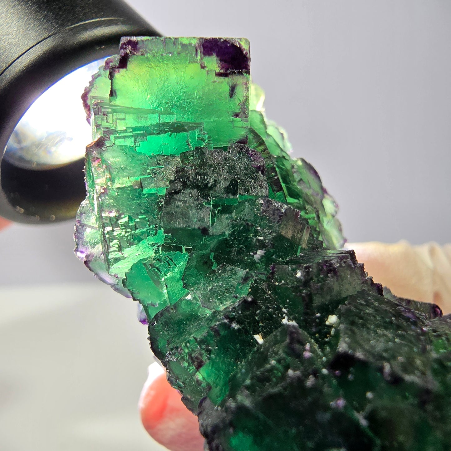 Spécimen de cube de fluorite fantôme, parqueté, zonal Okorusu, Namibie 51*34*28mm