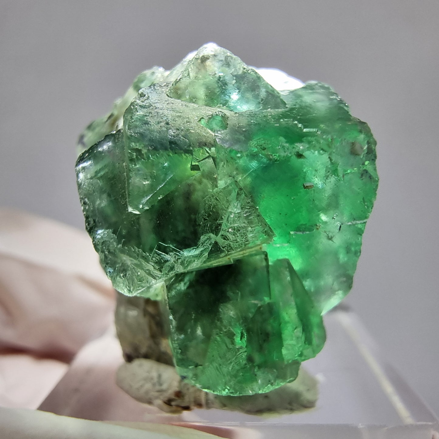 Seltene Fluorit Würfel Stufe grün lila 24*19*17mm Okorusu Namibia Sammlung