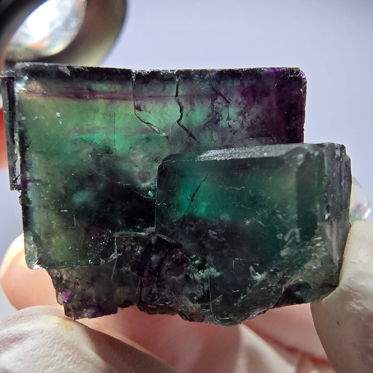 Spécimen de cube de fluorite fantôme parqueté vert violet Okorusu, Namibie 32*31*24 mm