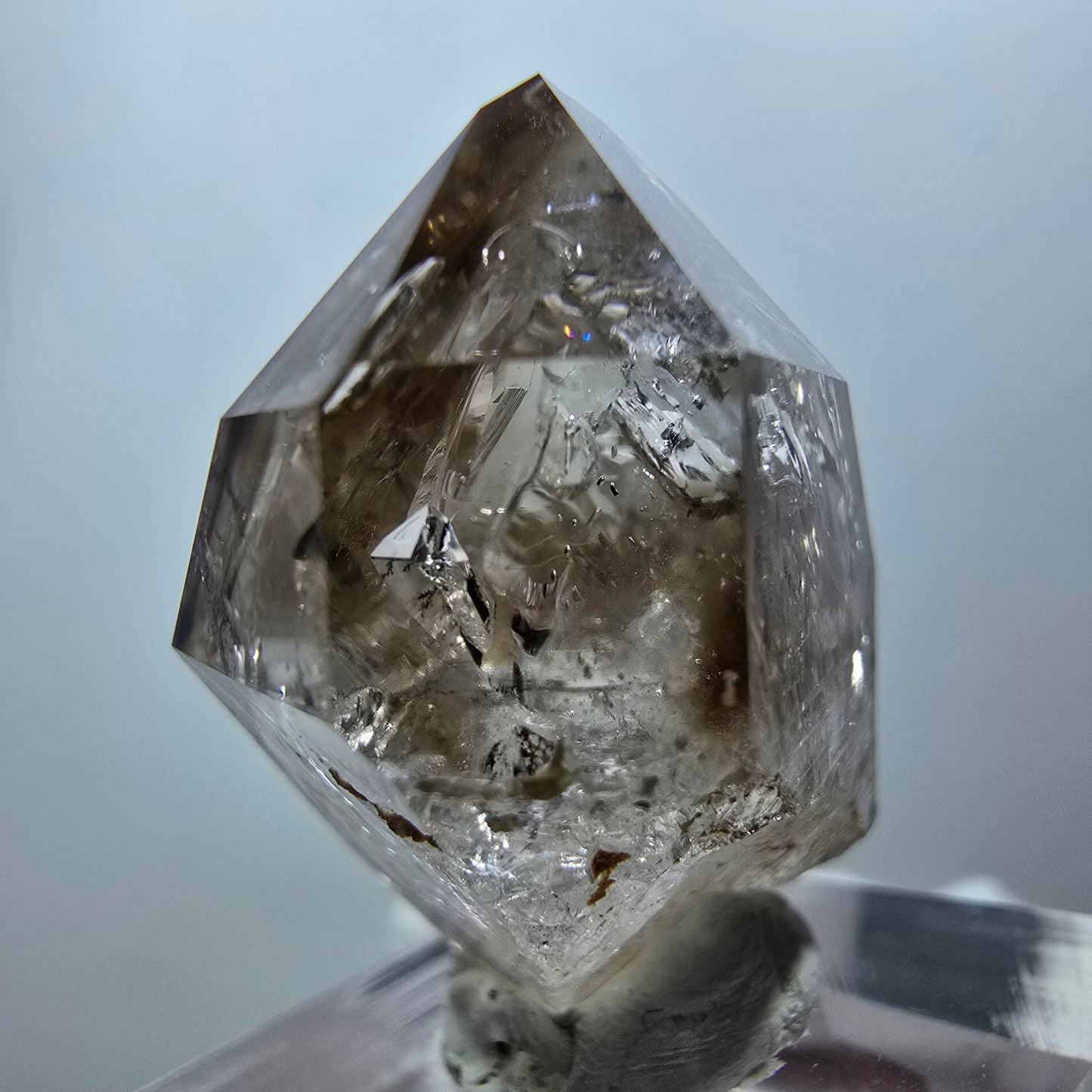 Enhydro Phantom Rauchquarz Zepter, 1x Blase Goboboseb, Namibia 32*23*18mm