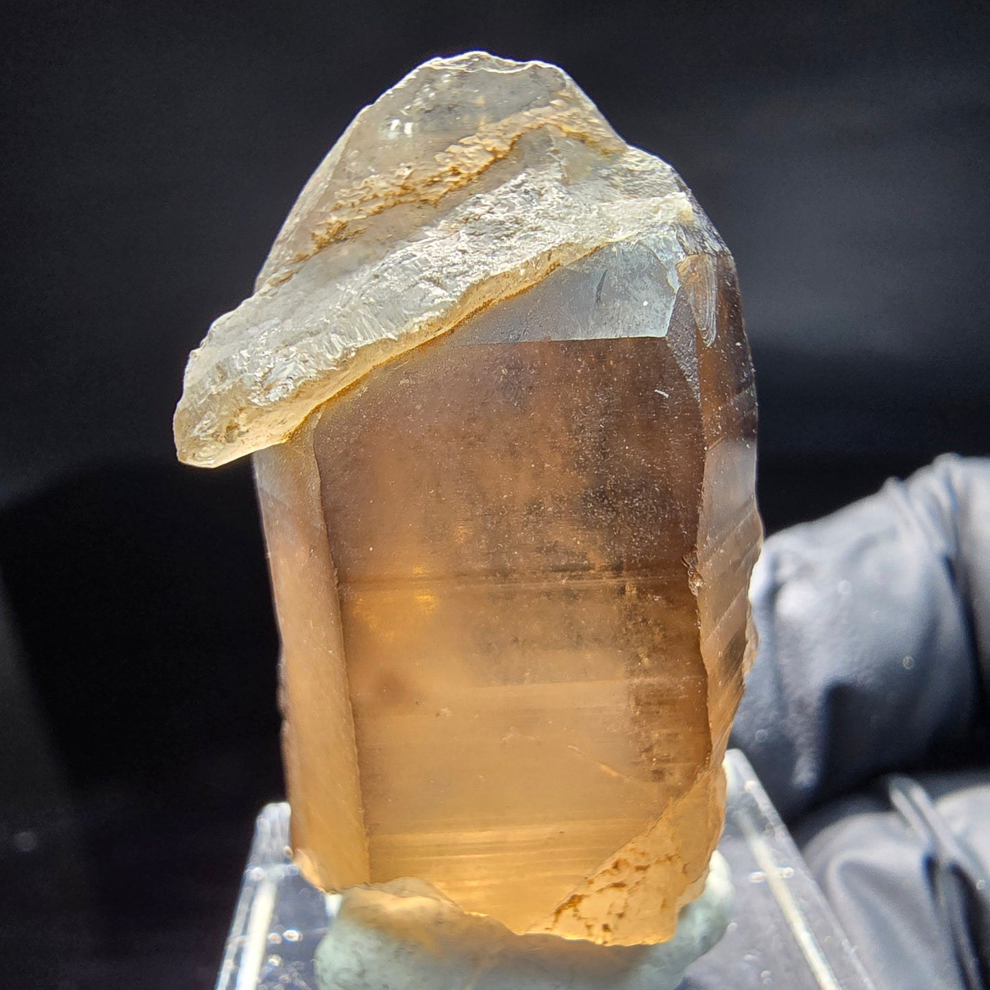 Seltene klare Rauchquarz mit Hyalit Spitze Erongo, Namibia 39*21*17mm Sammlung
